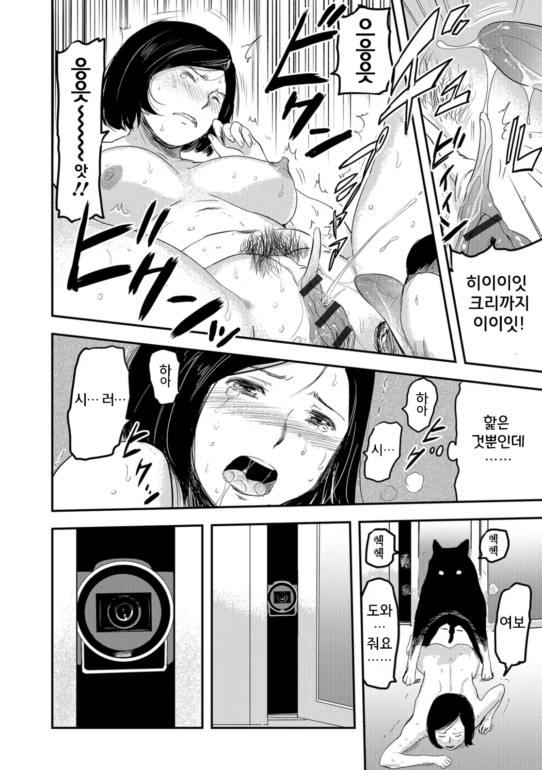 Content 1699778 - 12 페이지