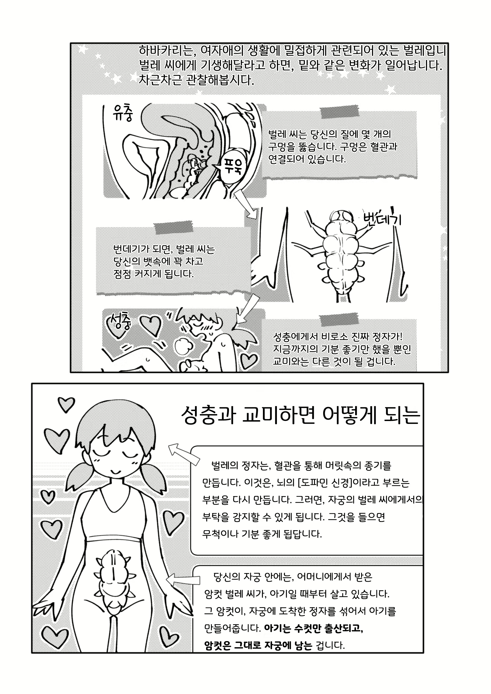 Content 1708944 - 44 페이지