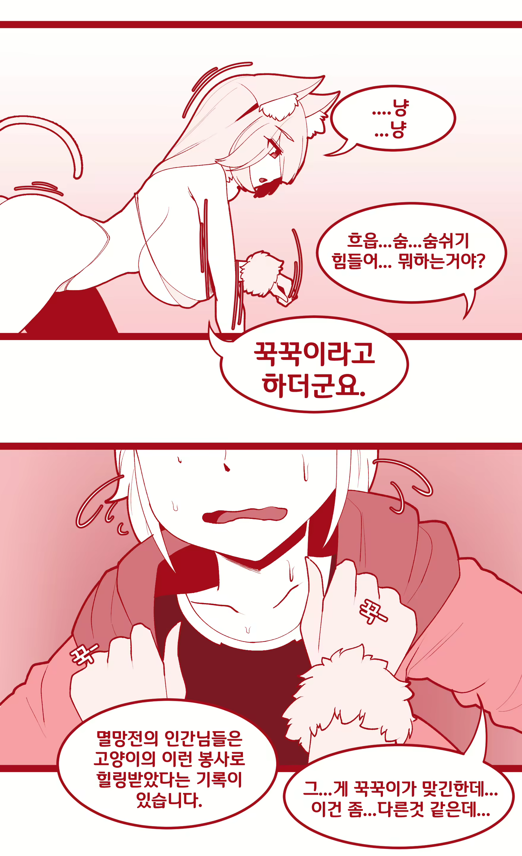 Content 1719686 - 2 페이지