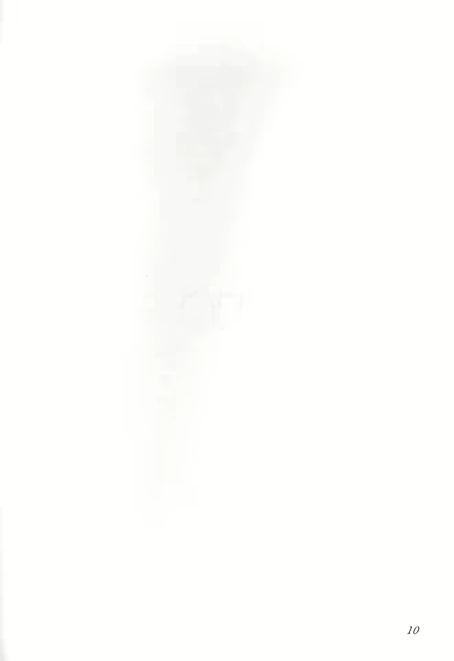 Content 1724592 - 11 페이지