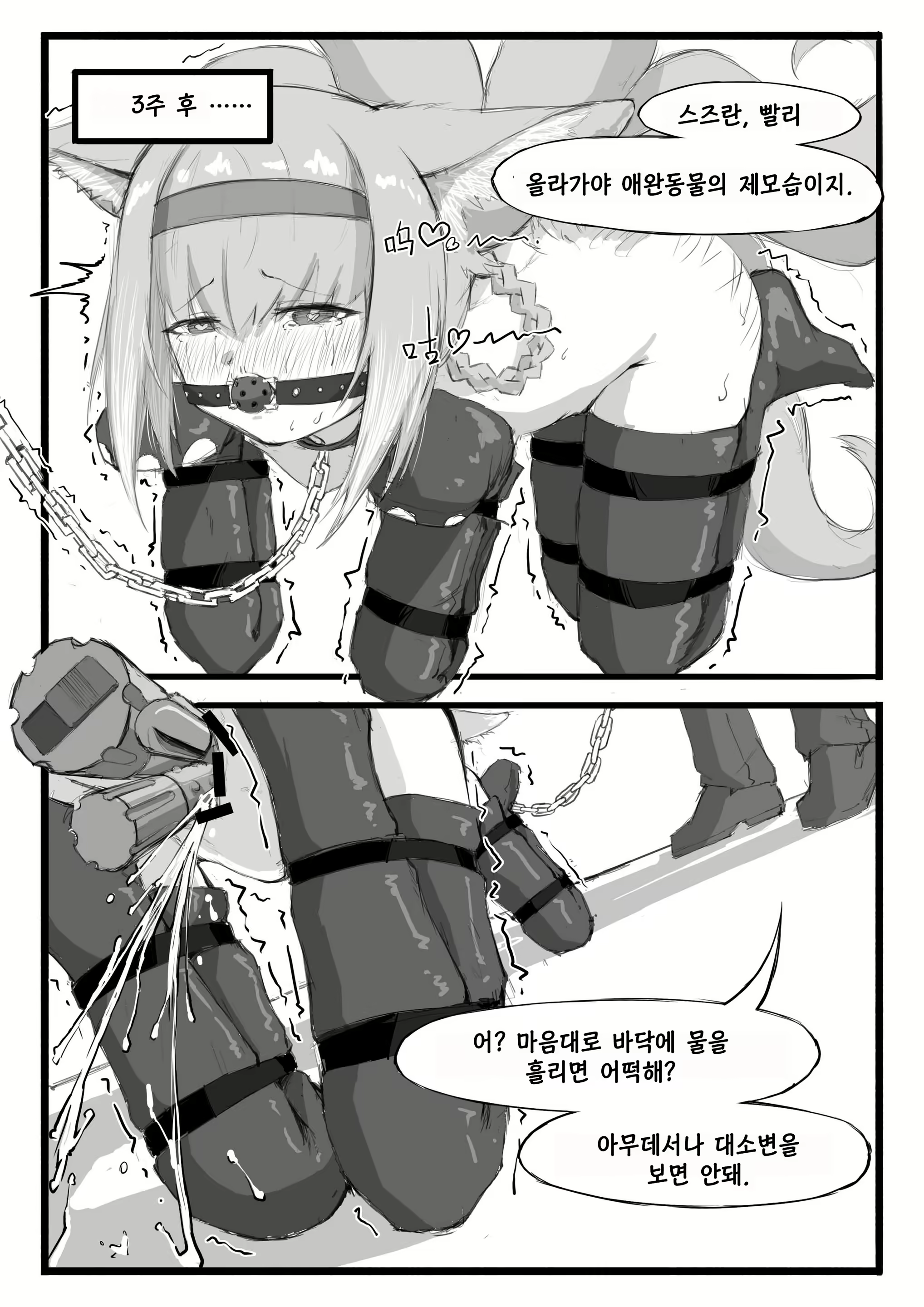 Content 1728800 - 17 페이지