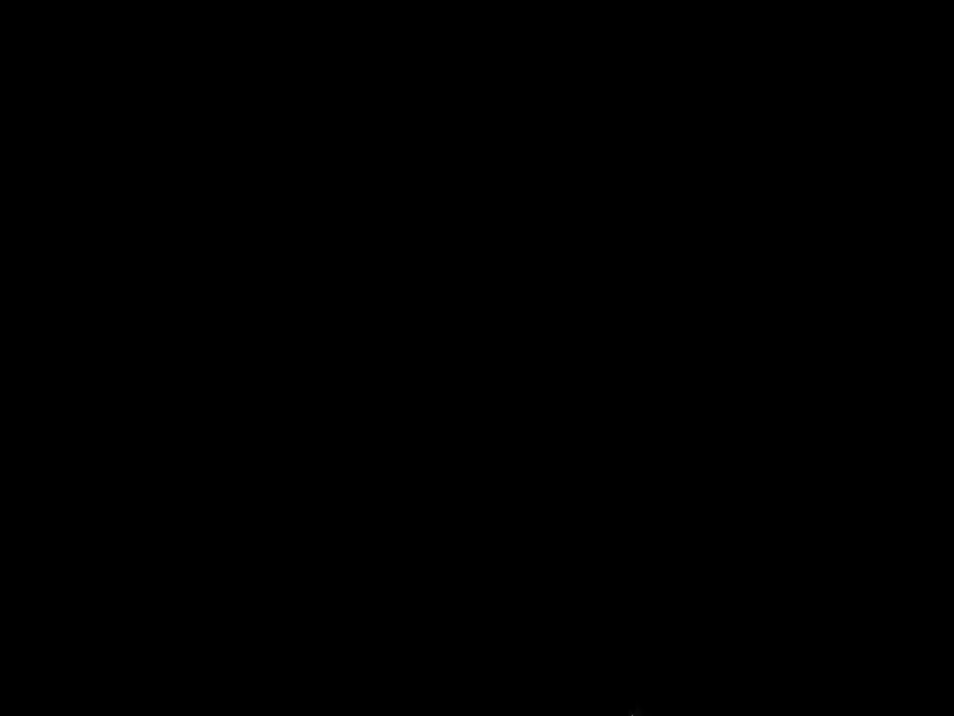 Content 1750856 - 166 페이지