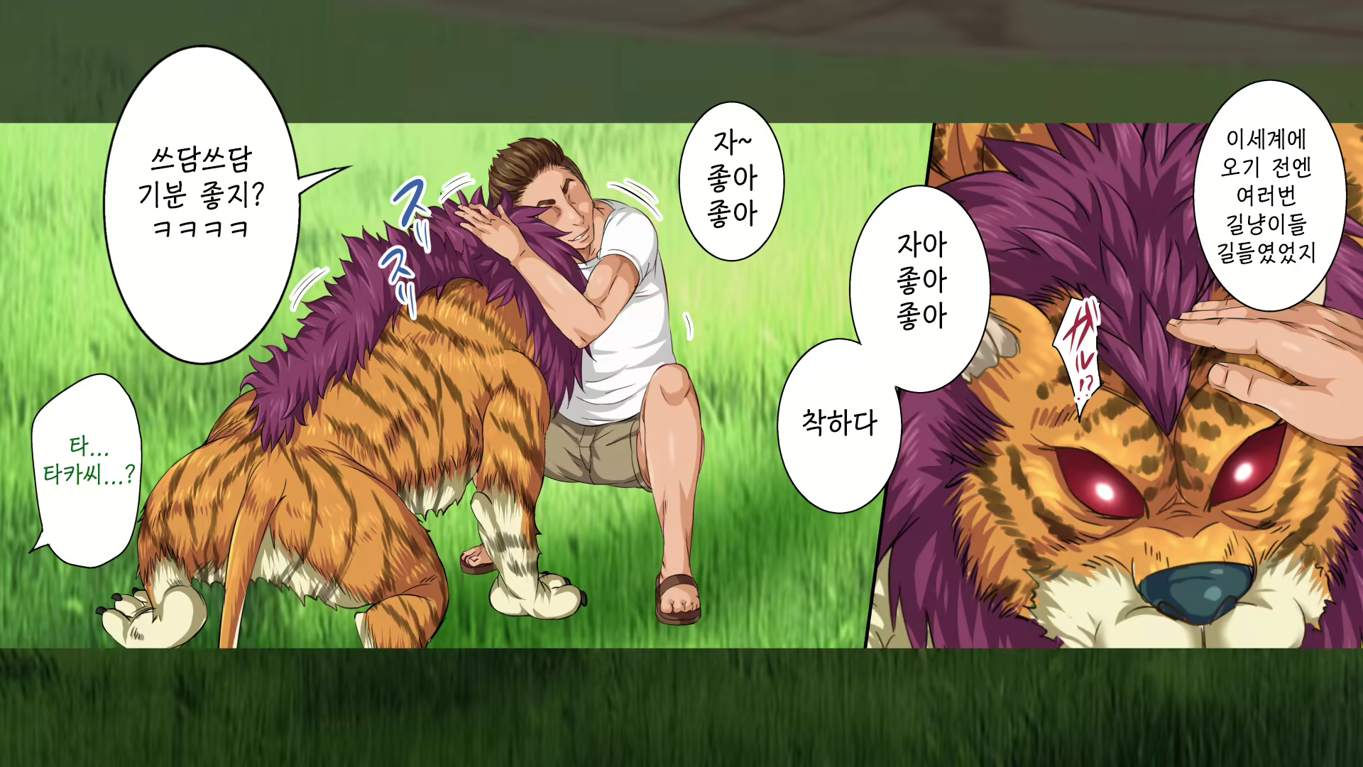 Content 1753312 - 11 페이지