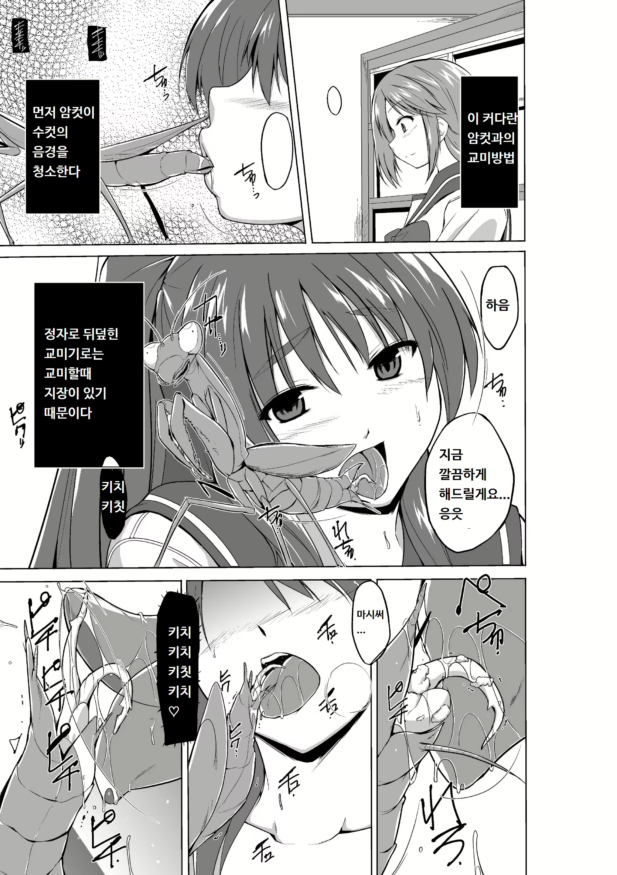 Content 1753409 - 3 페이지