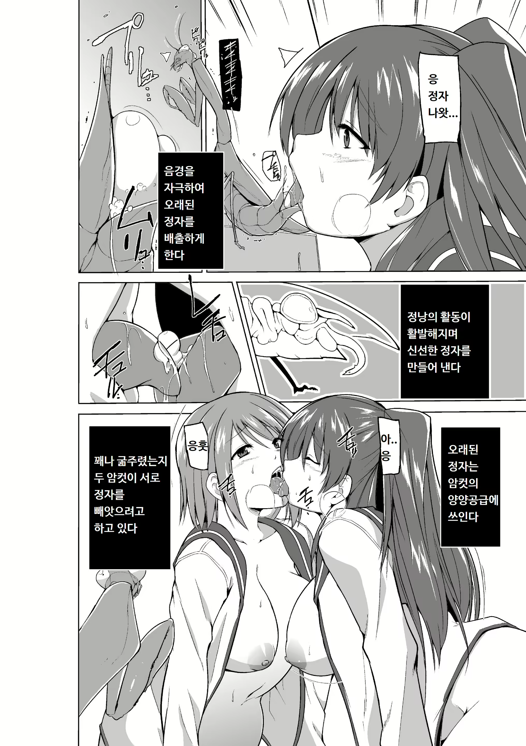 Content 1753409 - 4 페이지