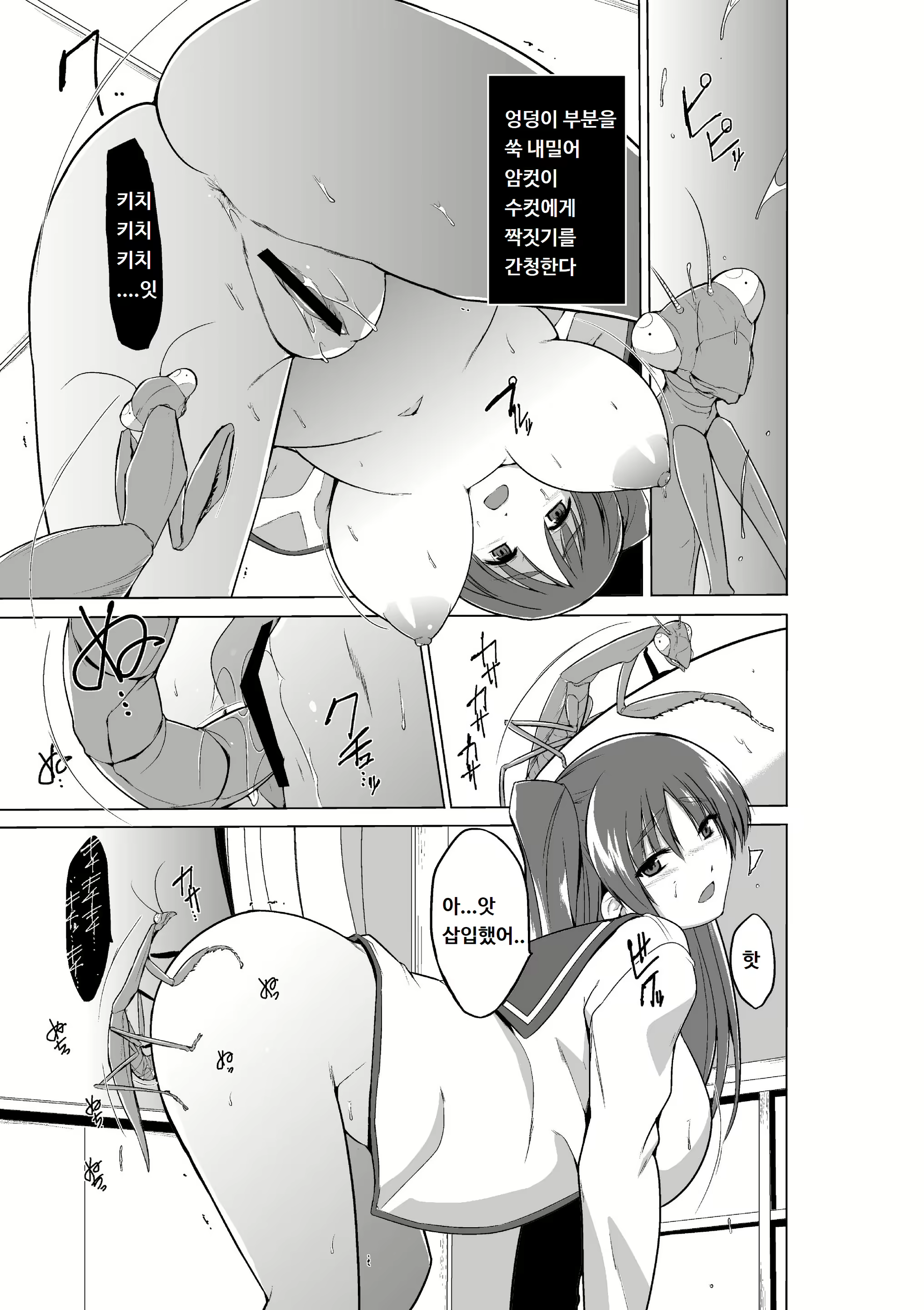 Content 1753409 - 7 페이지