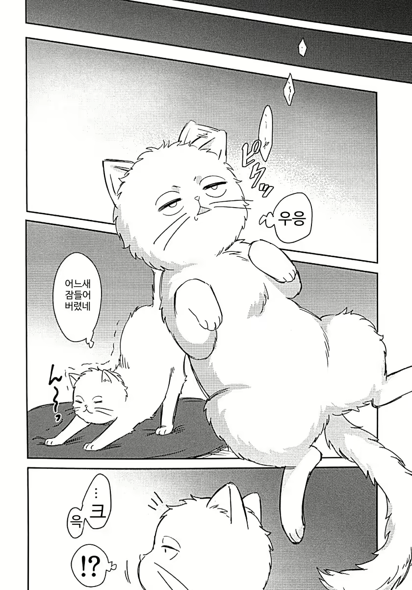 Content 1756960 - 11 페이지