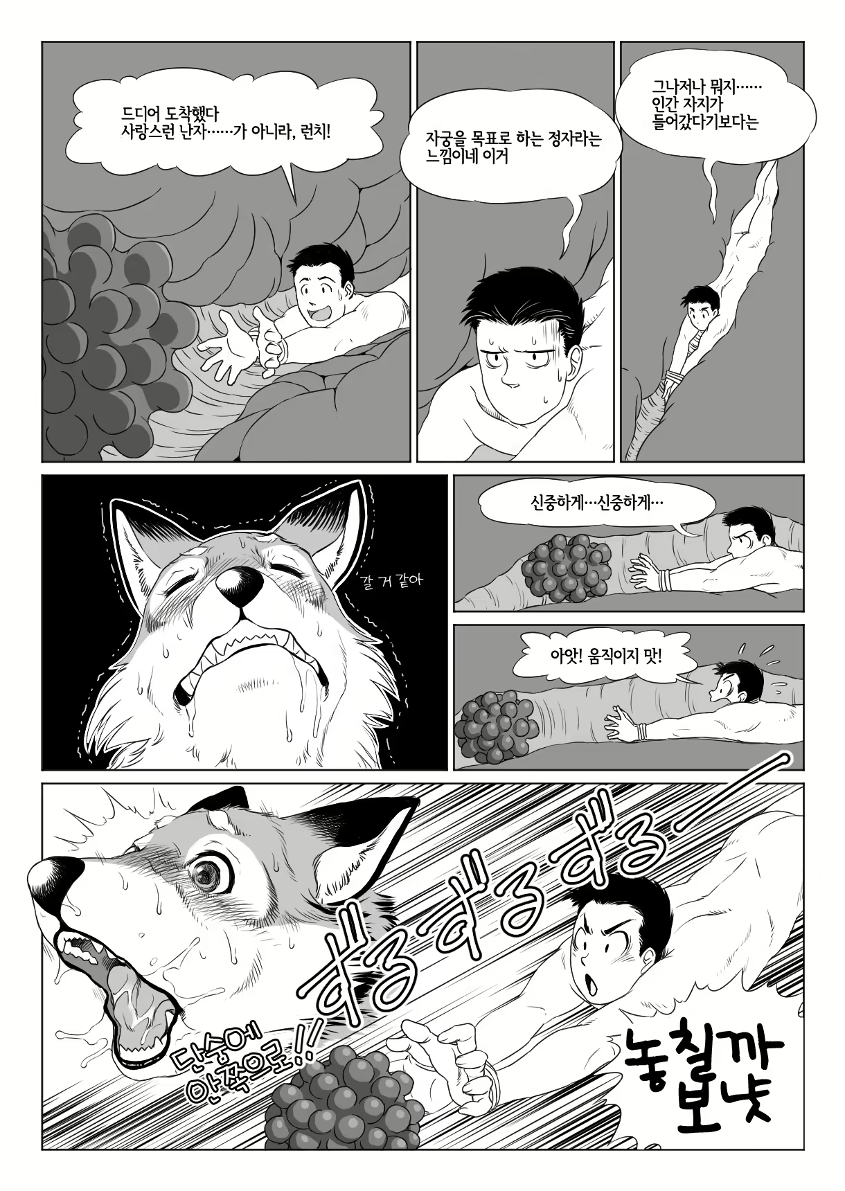 Content 1764054 - 14 페이지