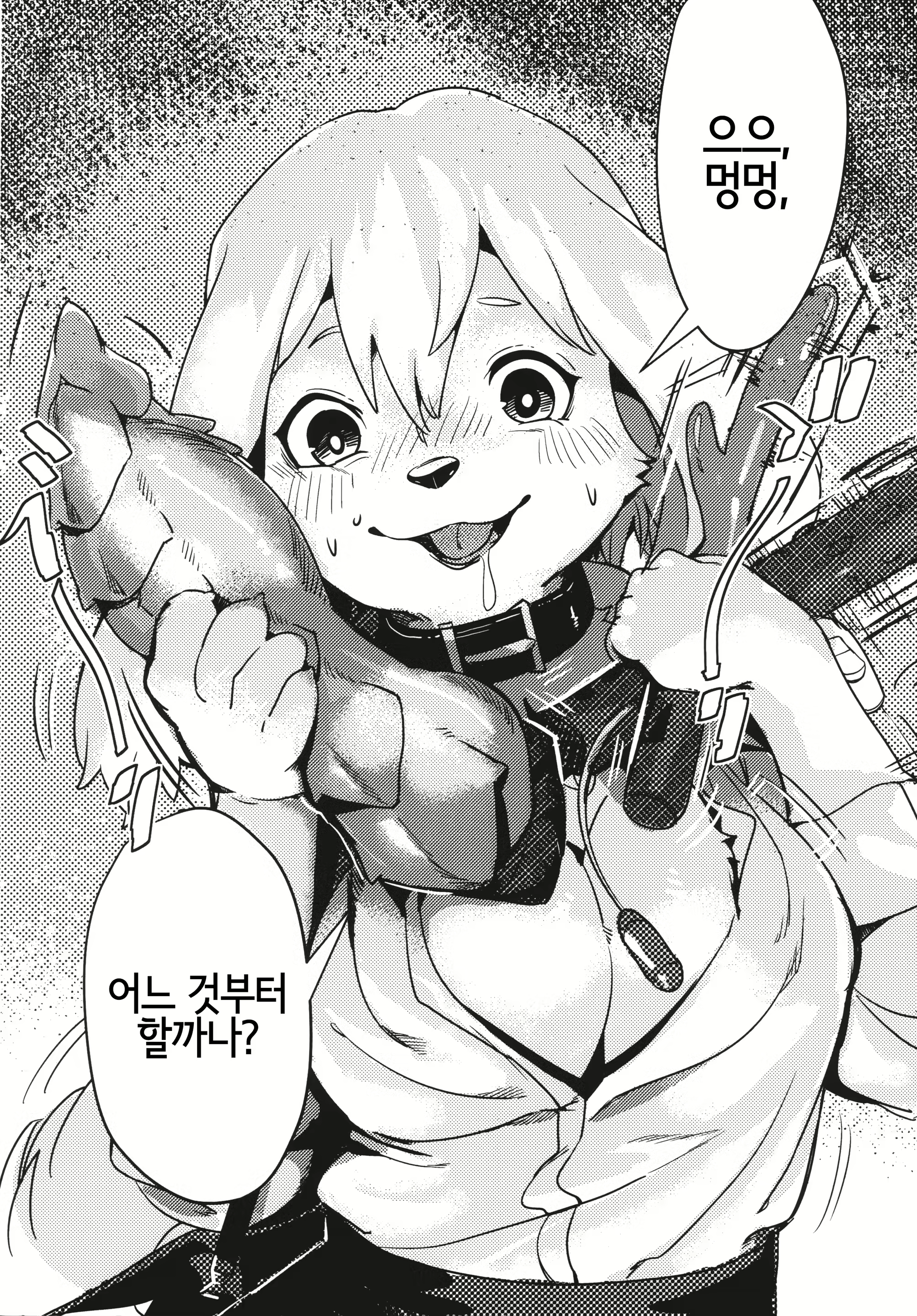 Content 1773567 - 19 페이지