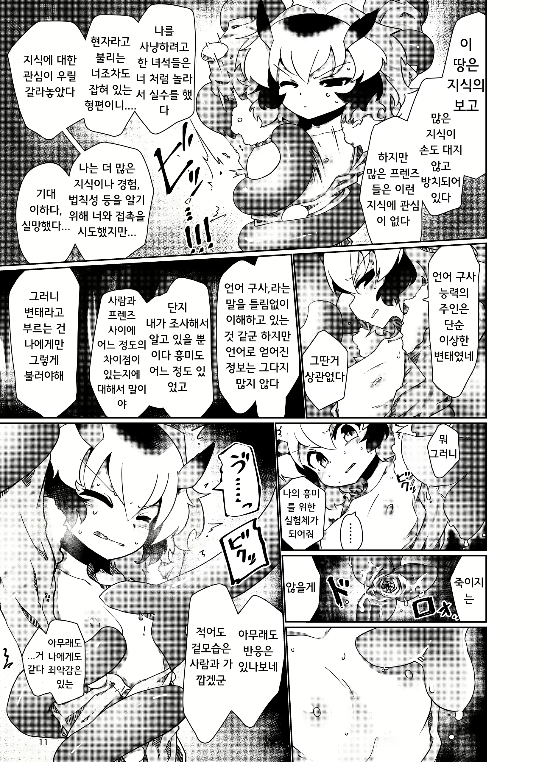 Content 1779249 - 11 페이지