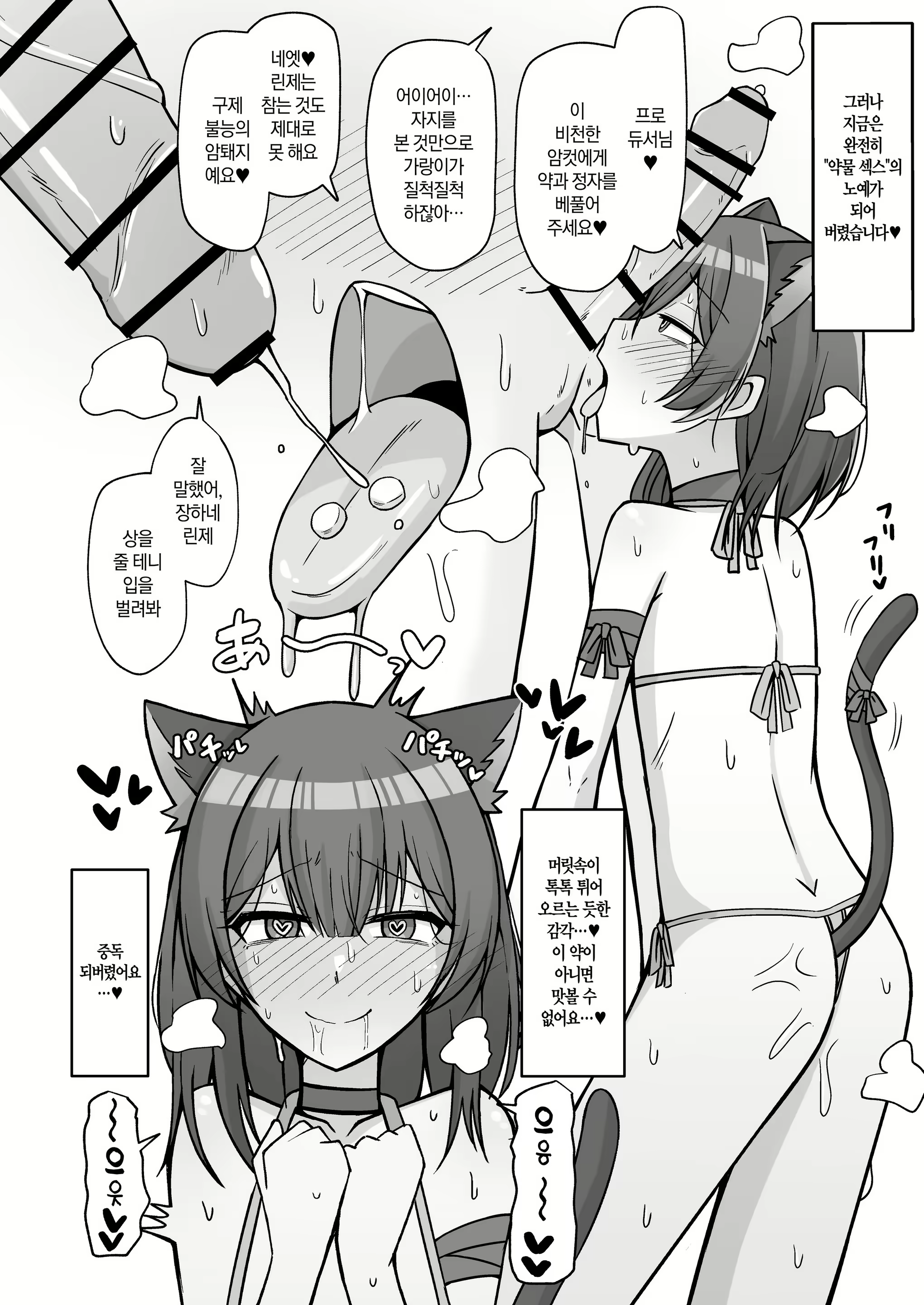 Content 1781625 - 3 페이지