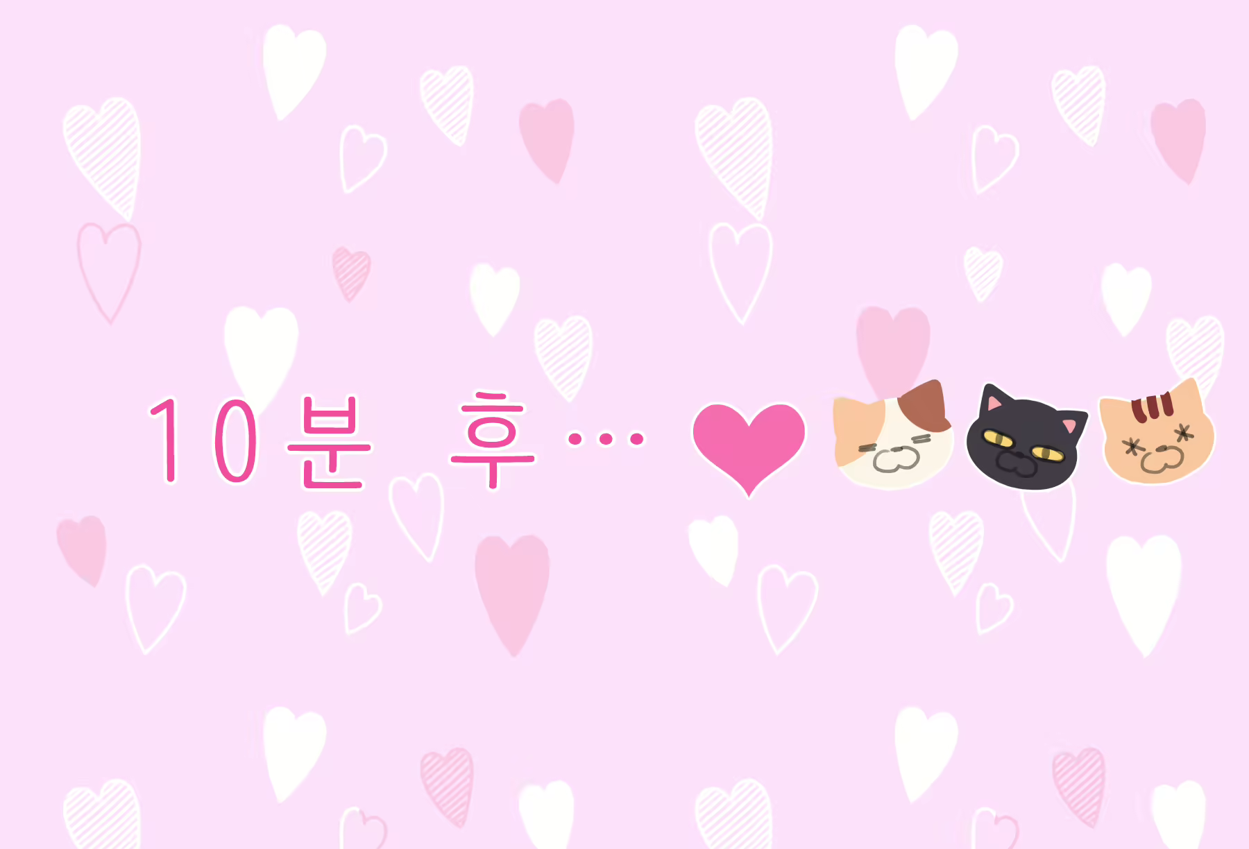 Content 1793896 - 69 페이지