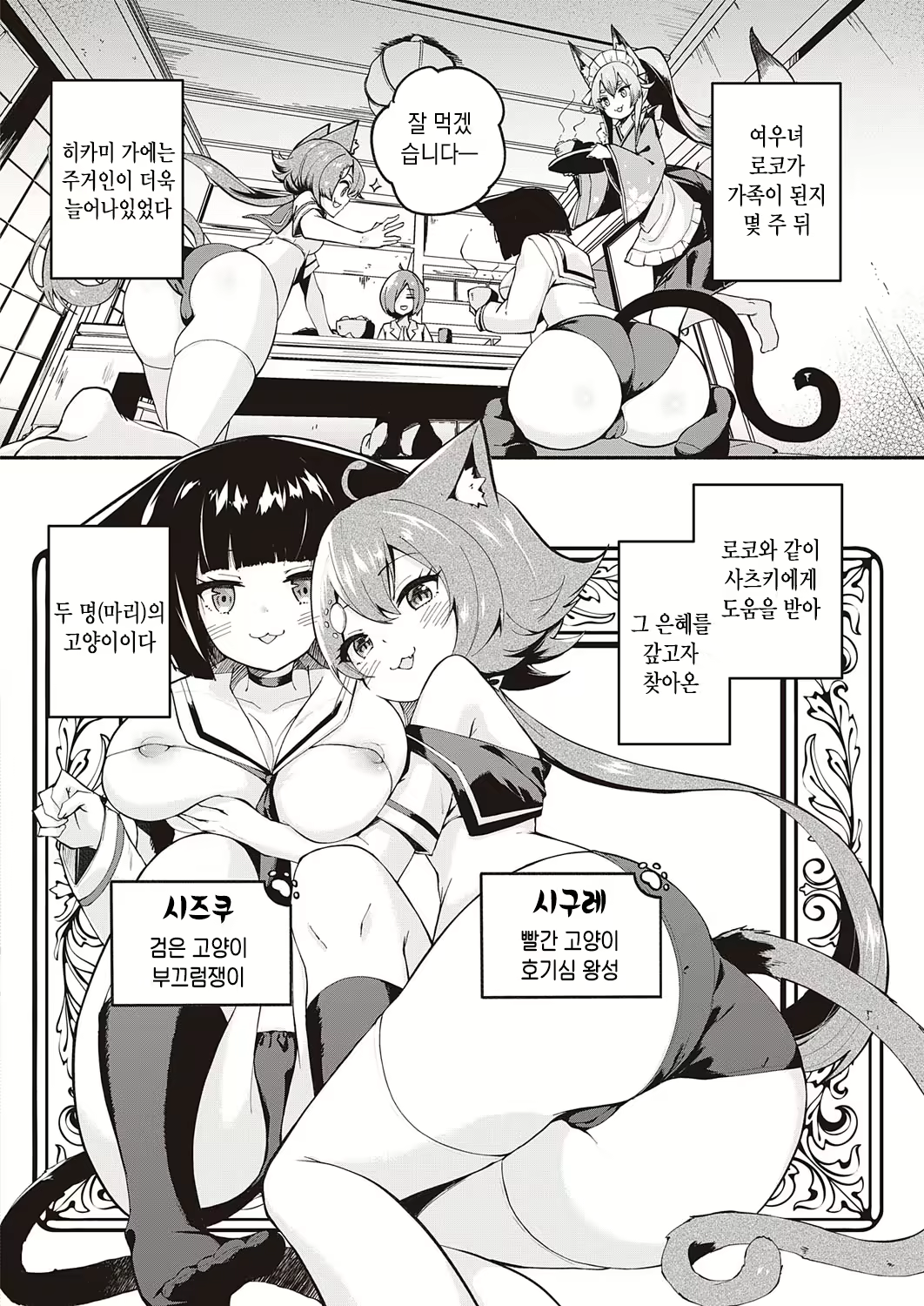 Content 1812091 - 5 페이지