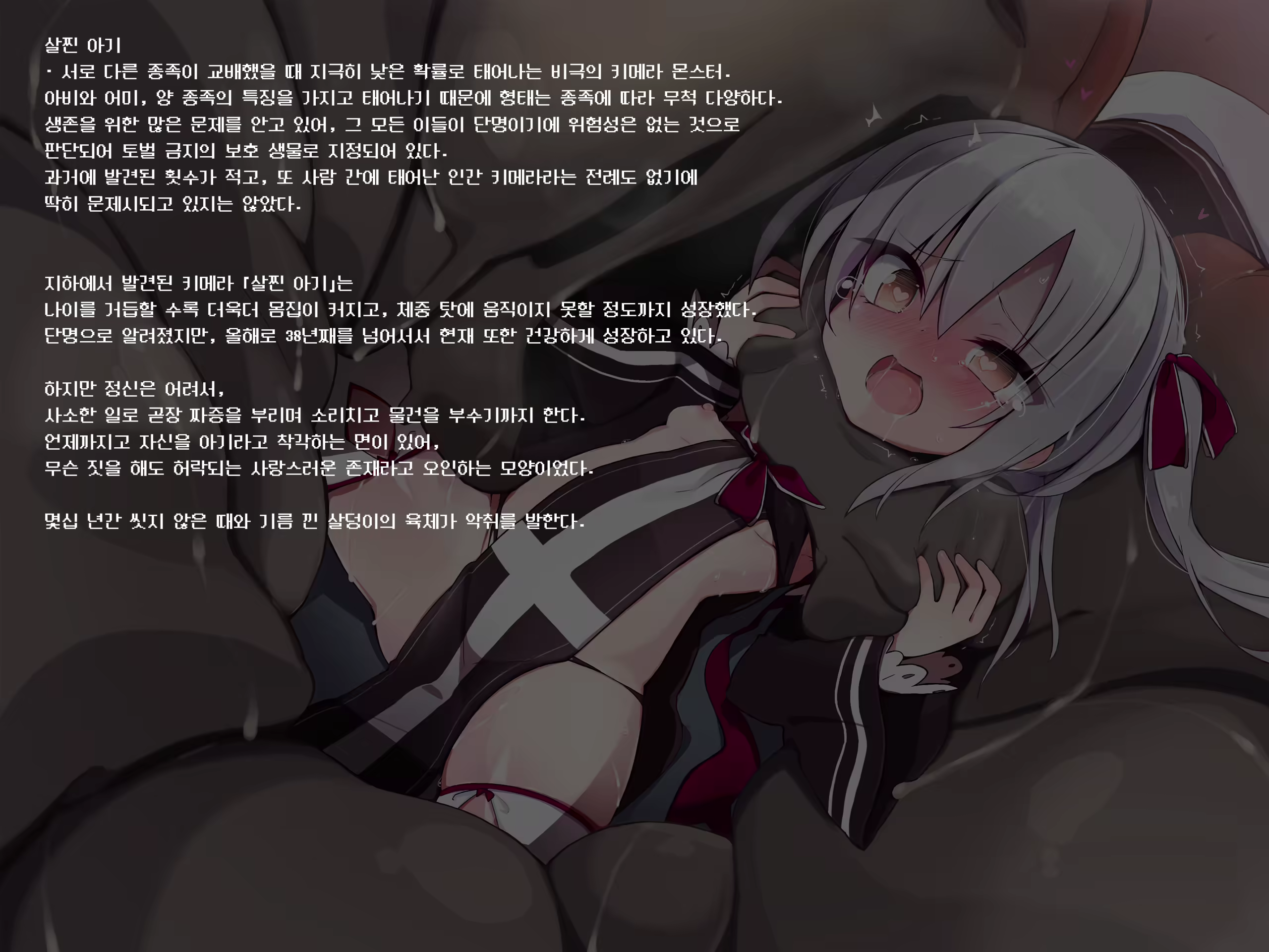Content 1840825 - 255 페이지
