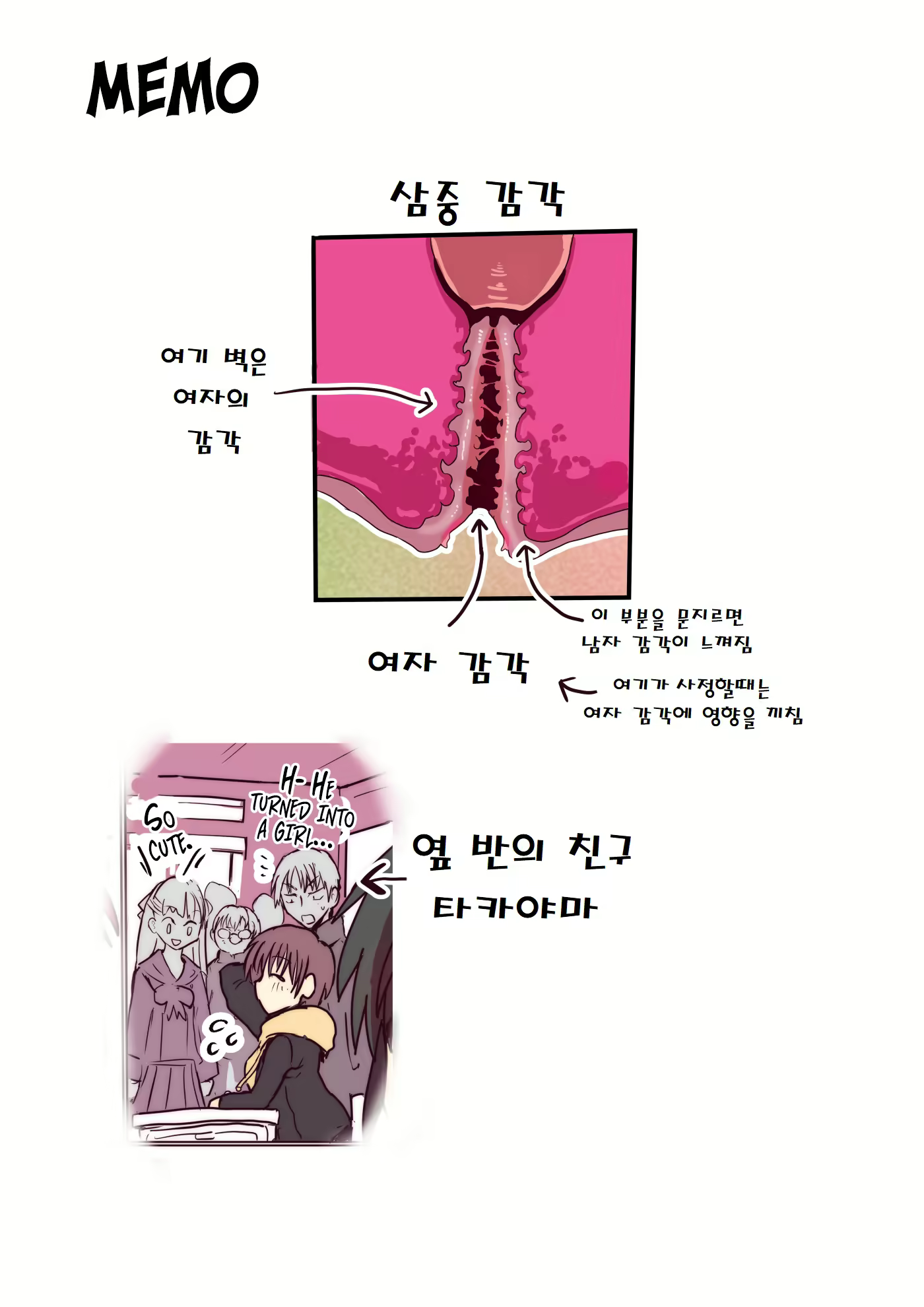Content 1854472 - 66 페이지