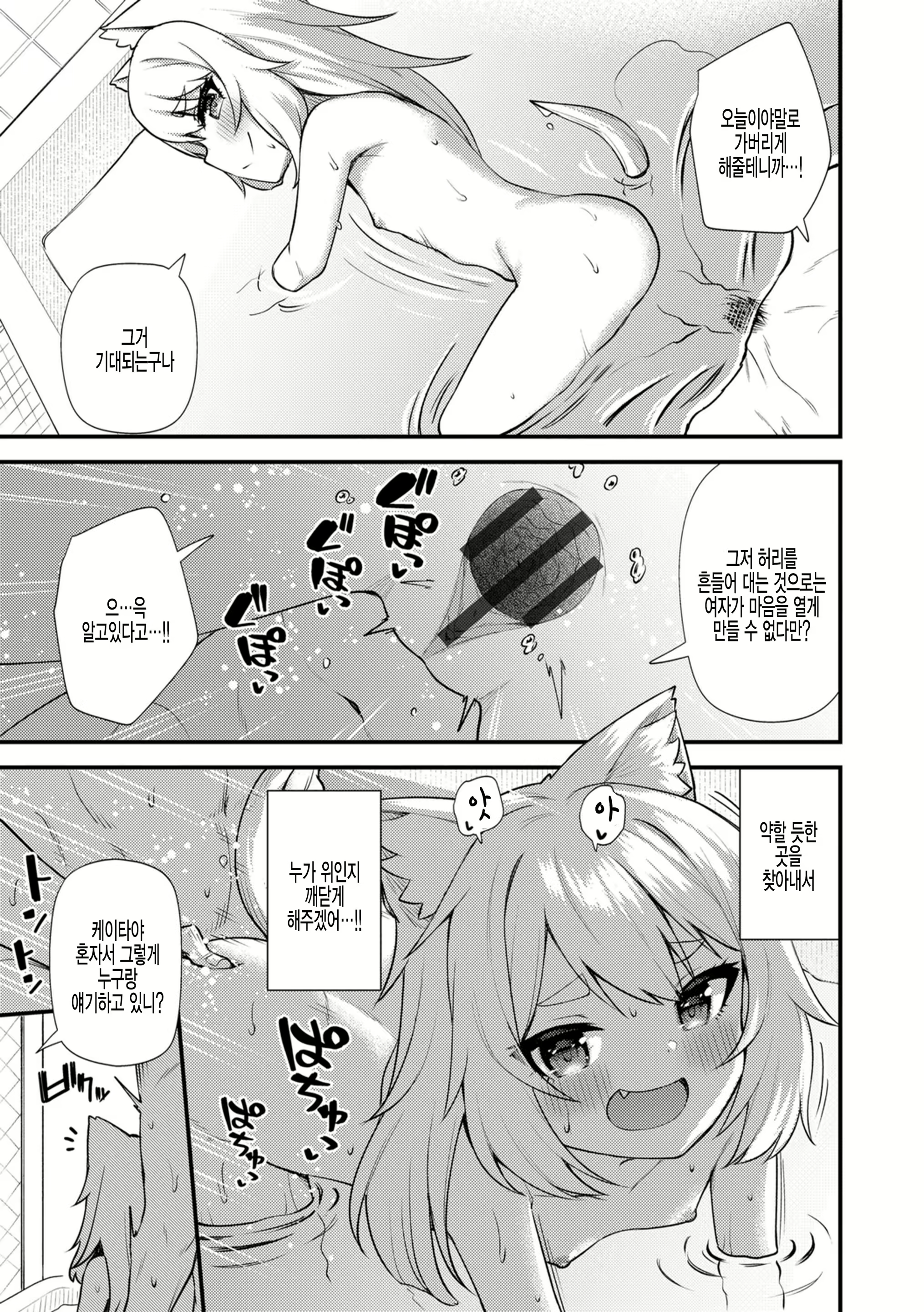Content 1890502 - 15 페이지