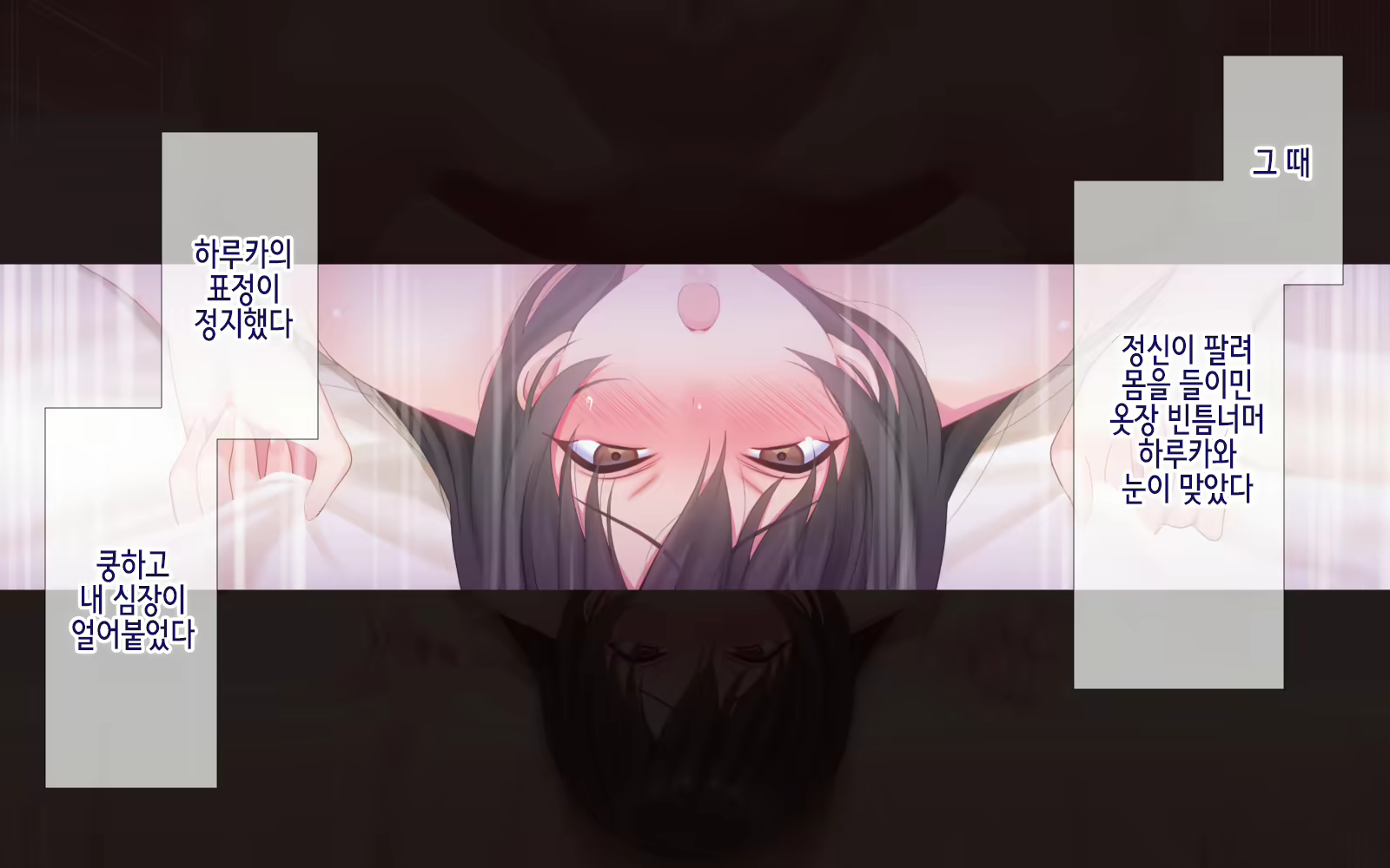 Content 1915168 - 229 페이지