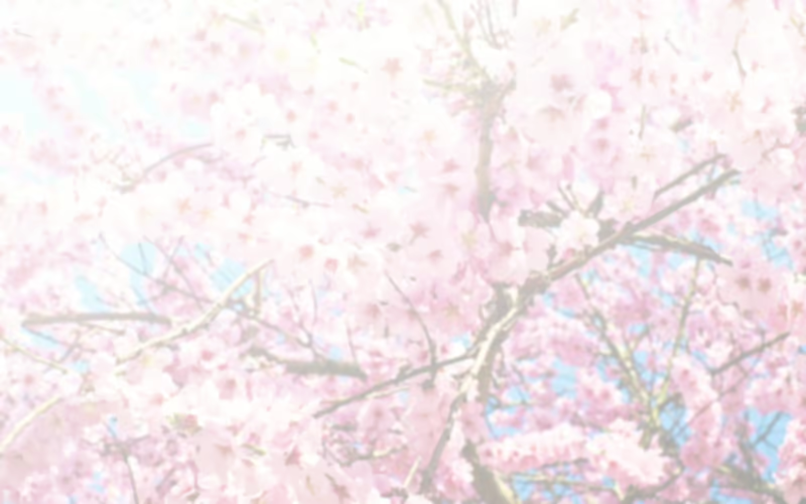 Content 1915168 - 255 페이지