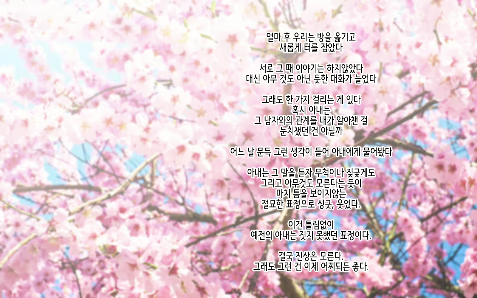 Content 1915168 - 256 페이지