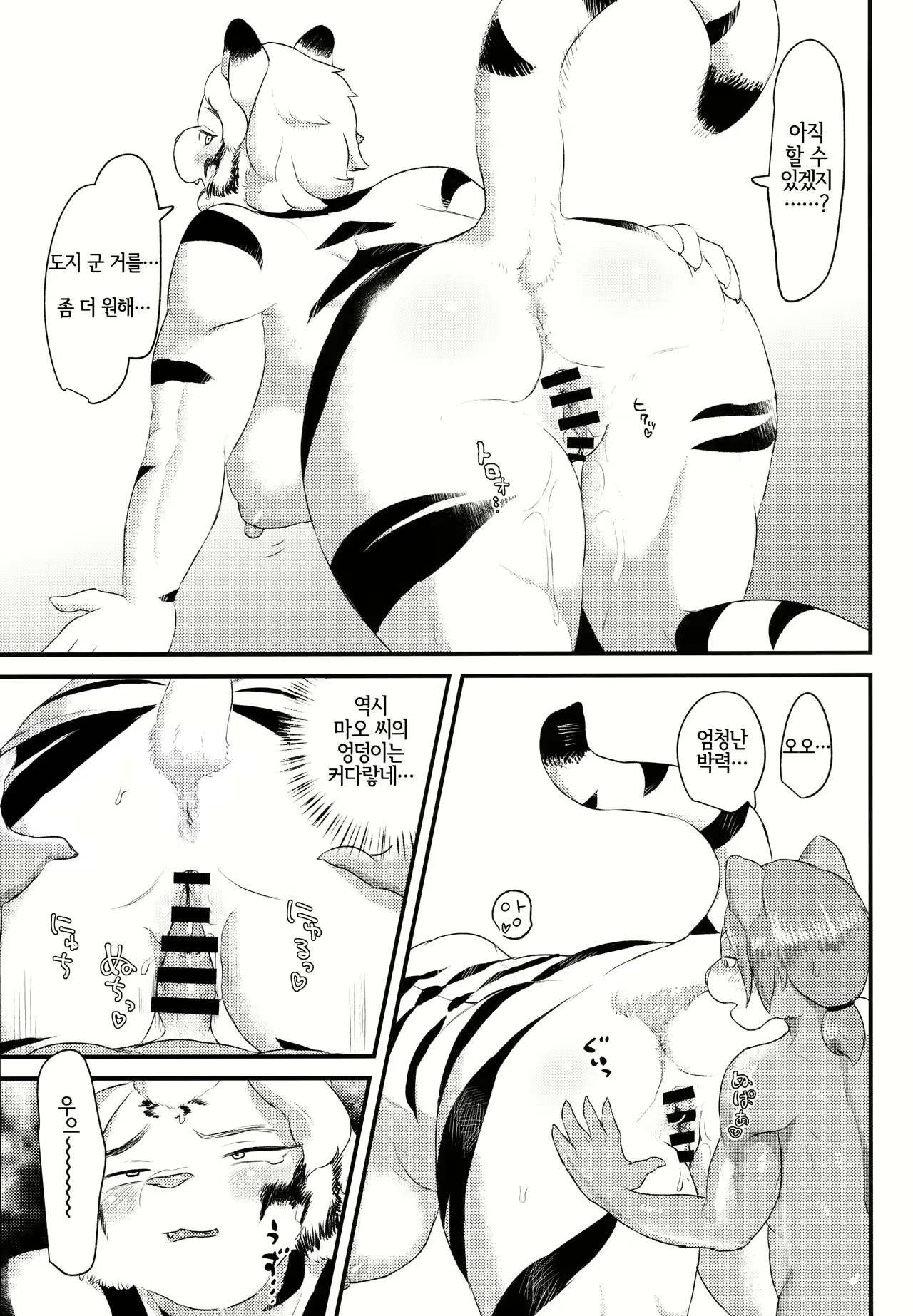 Content 1915462 - 15 페이지
