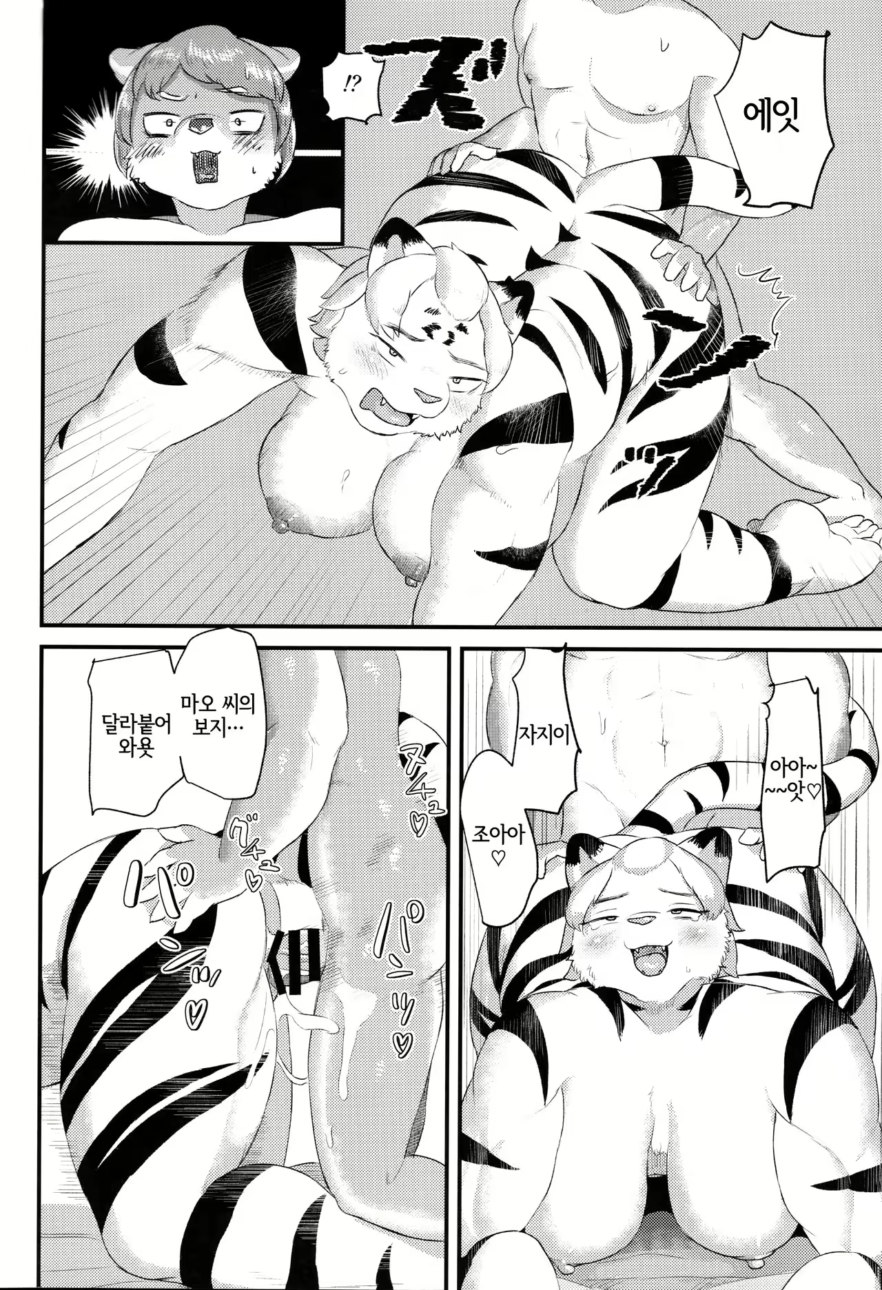 Content 1915462 - 16 페이지