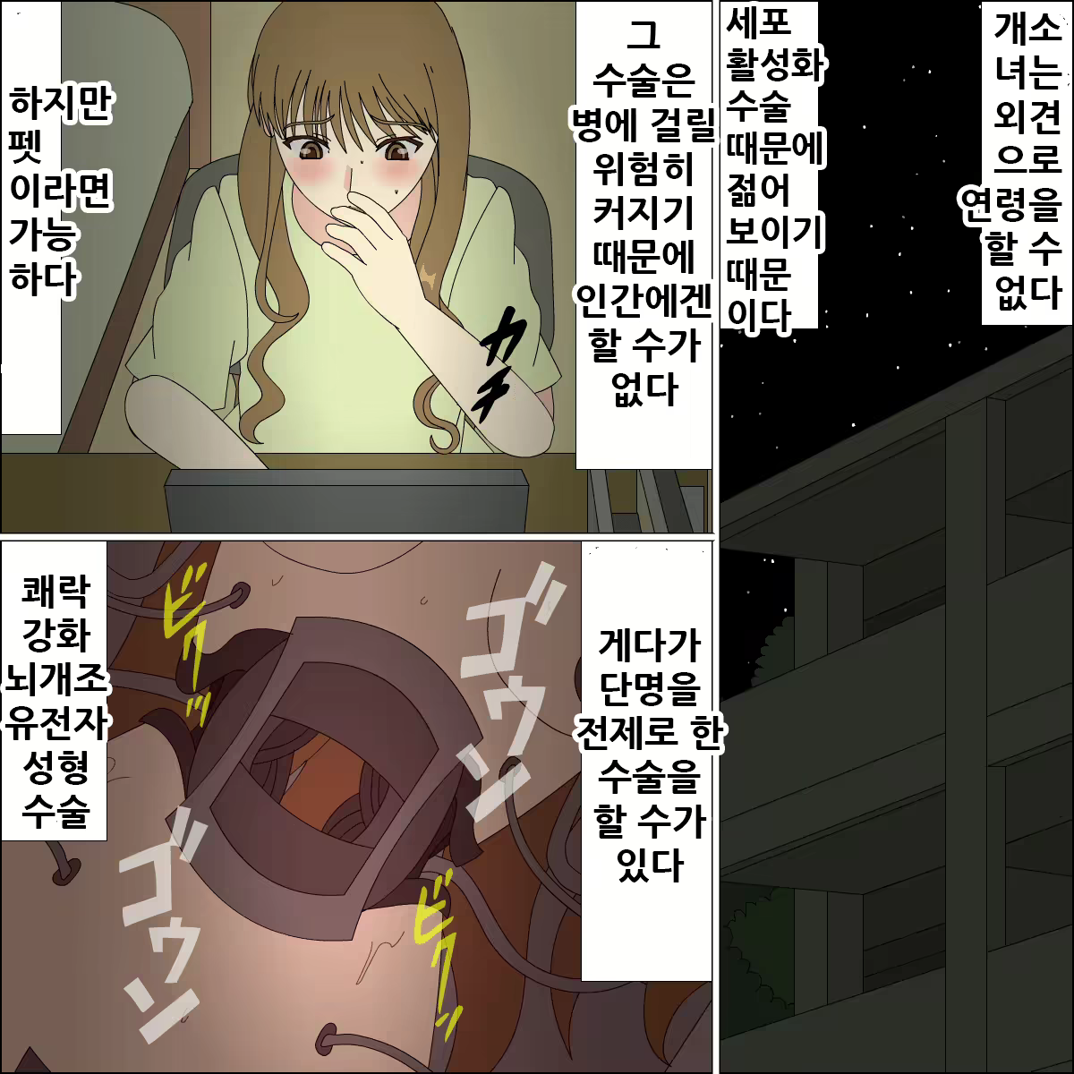 Content 1923584 - 36 페이지