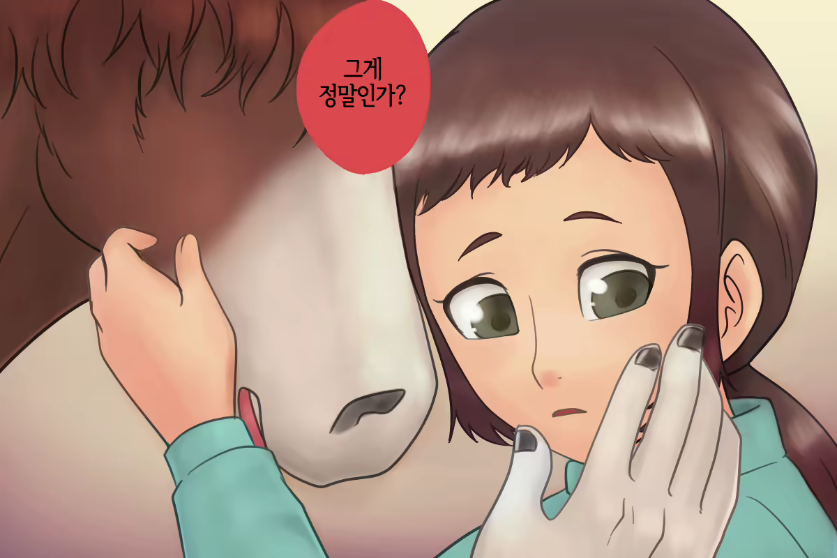 Content 1929537 - 6 페이지