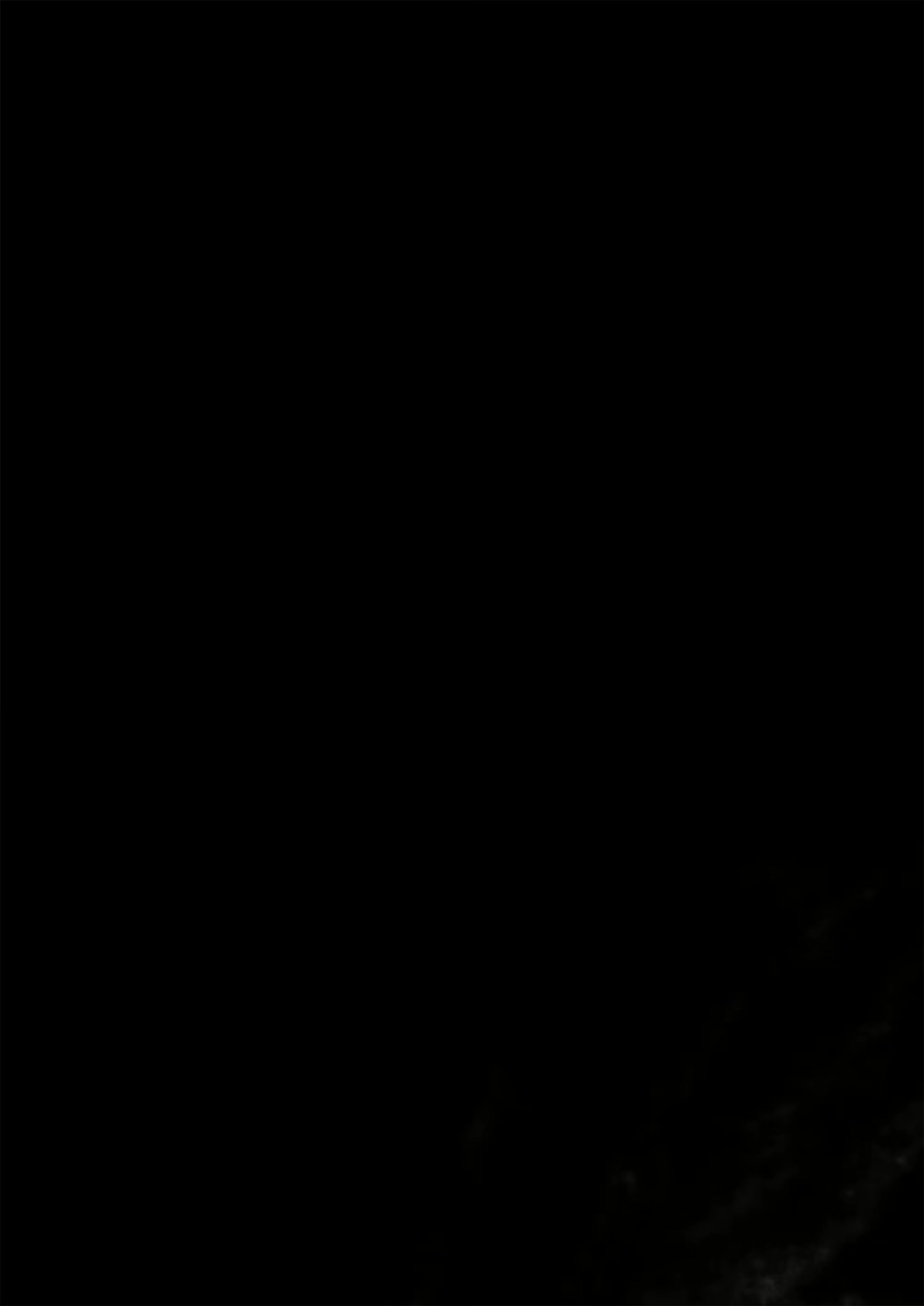 Content 1936290 - 37 페이지