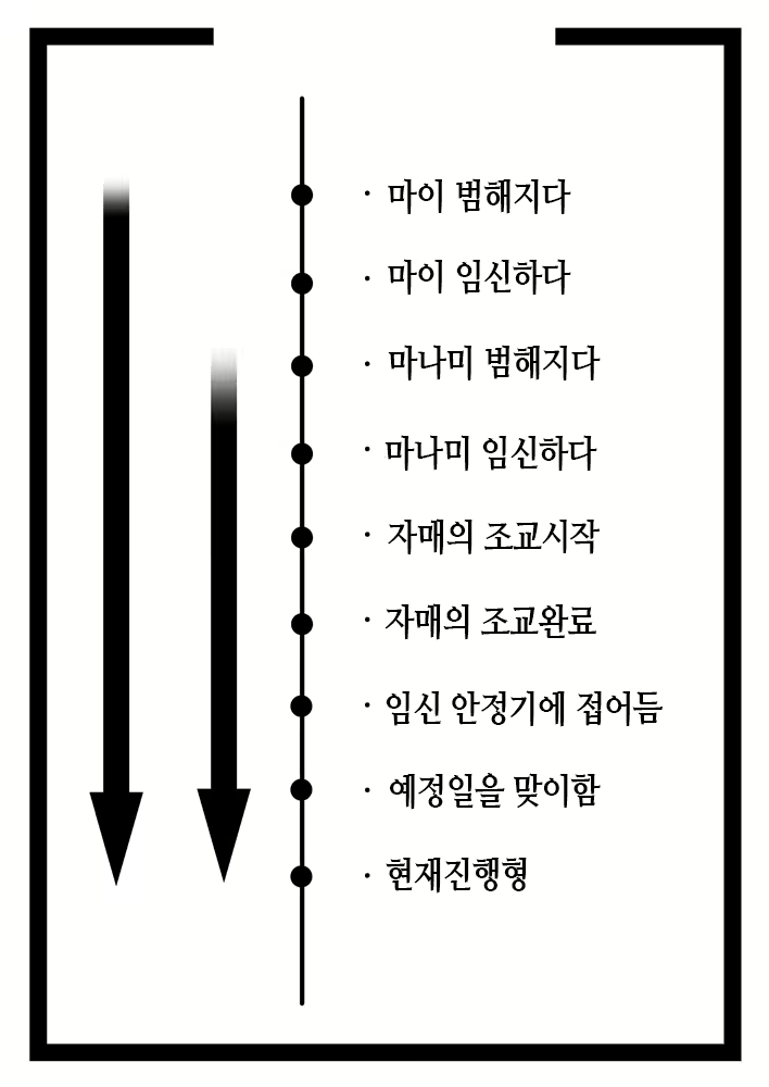 Content 1941420 - 8 페이지