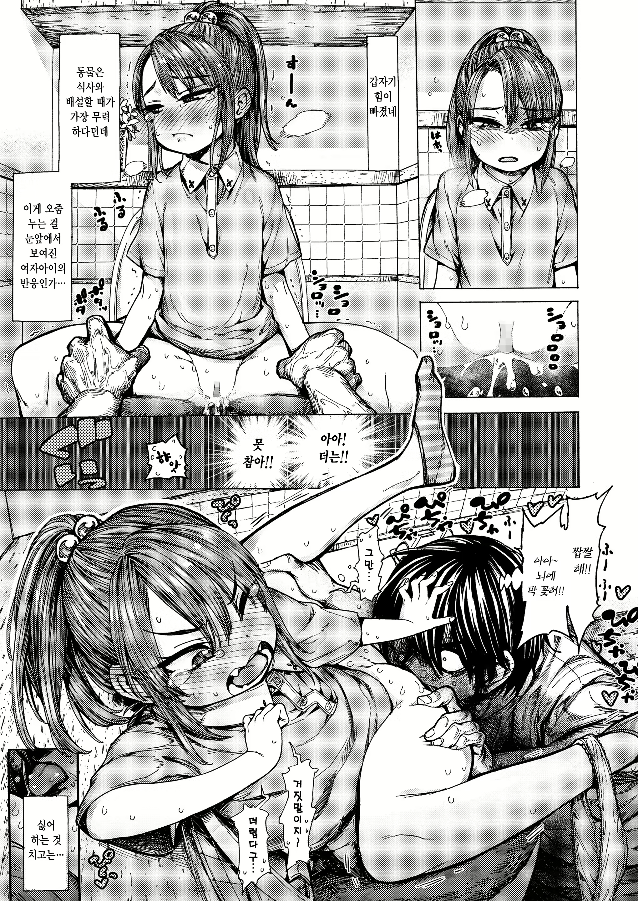 Content 1952078 - 11 페이지