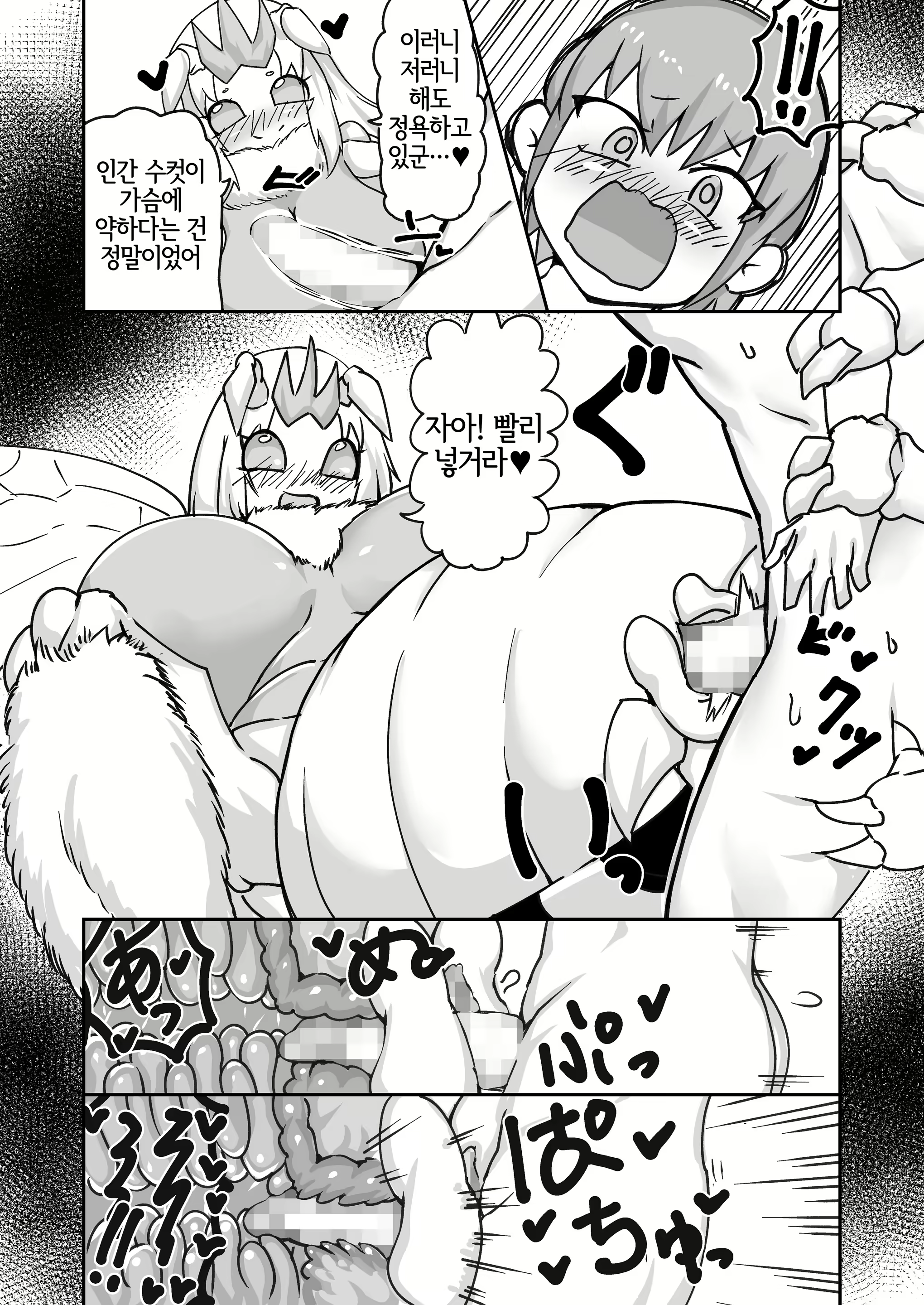 Content 1971581 - 16 페이지