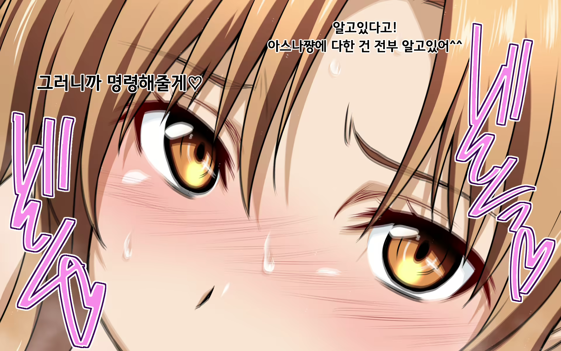 Content 1973034 - 29 페이지
