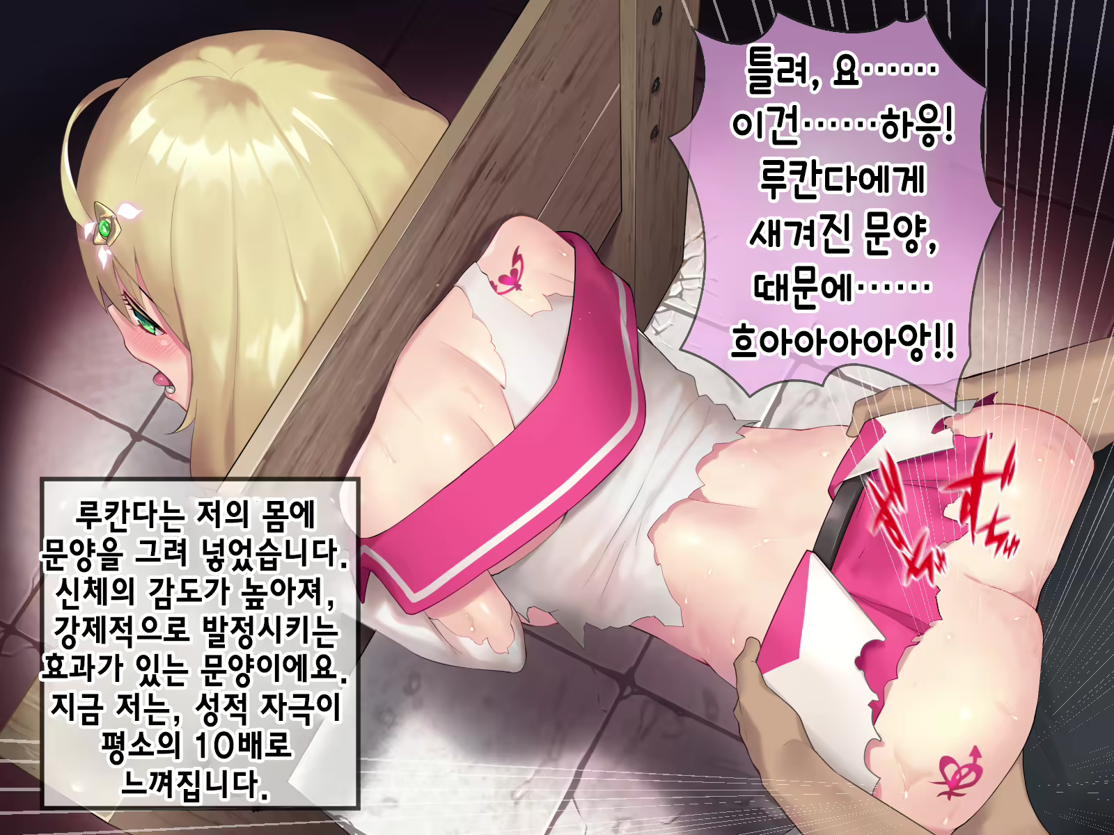 Content 2009610 - 504 페이지