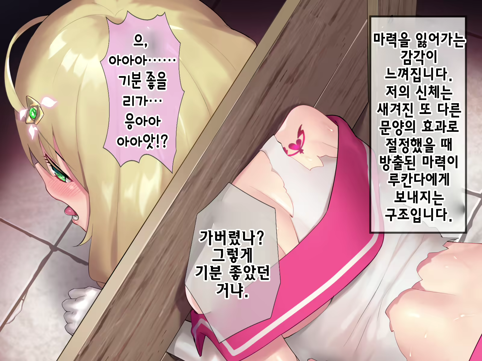 Content 2009610 - 507 페이지