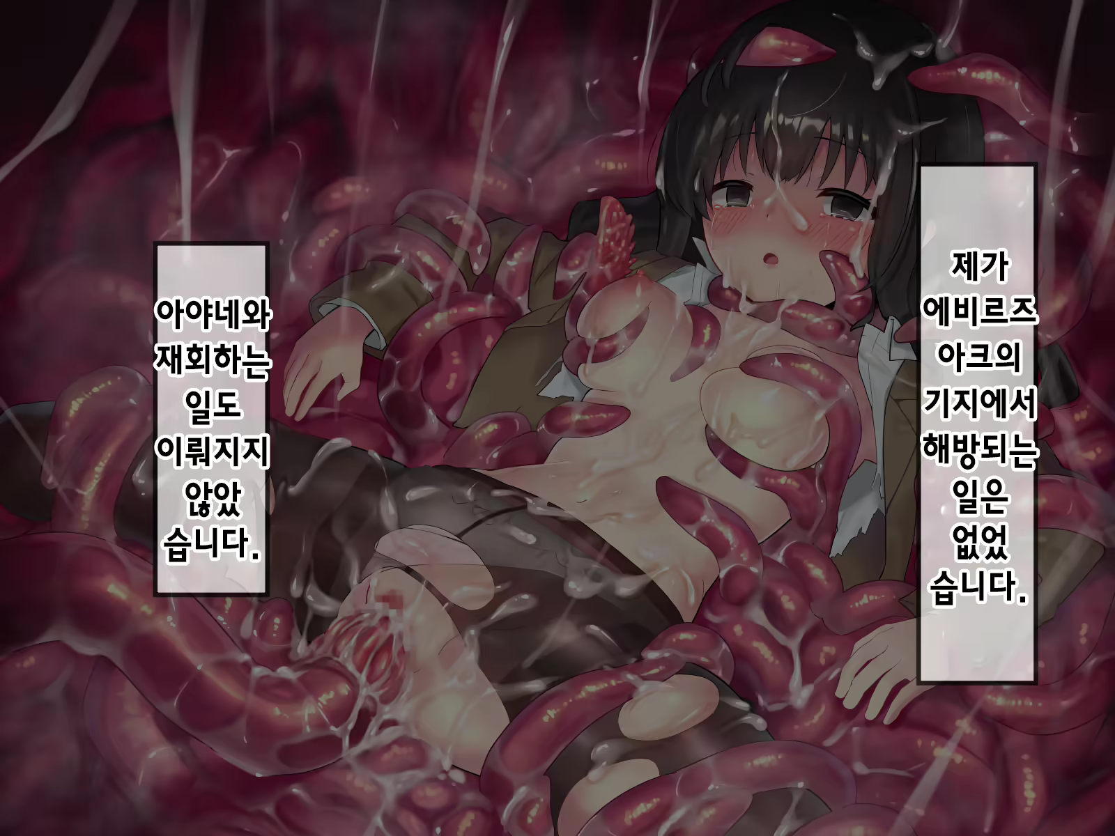Content 2009610 - 558 페이지