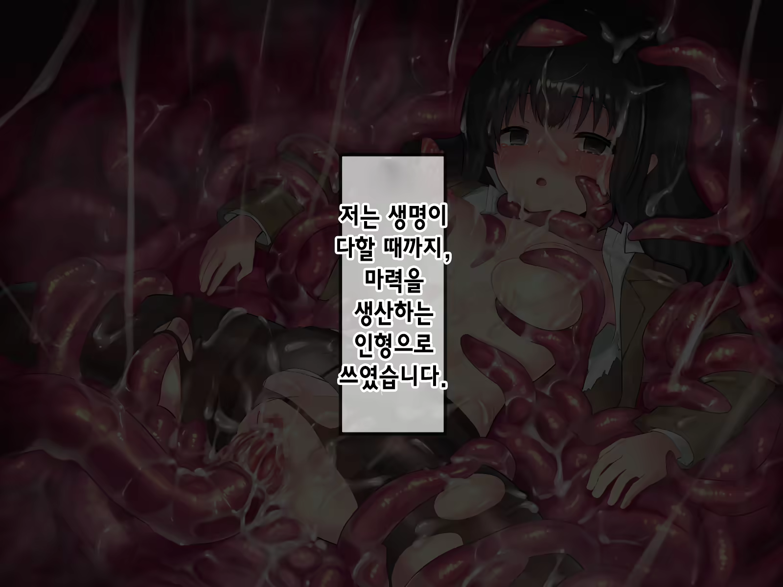 Content 2009610 - 559 페이지