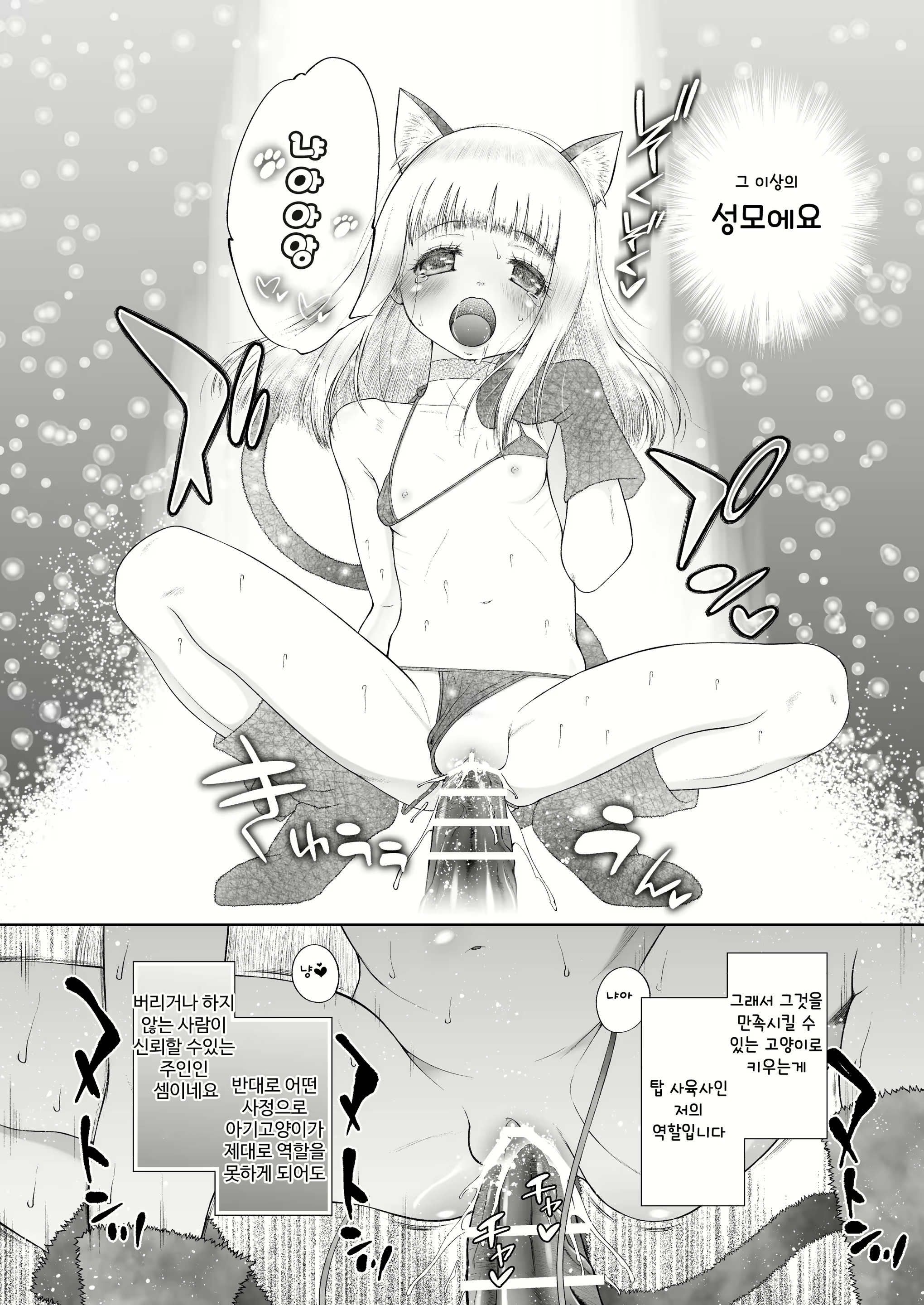 Content 2029371 - 17 페이지