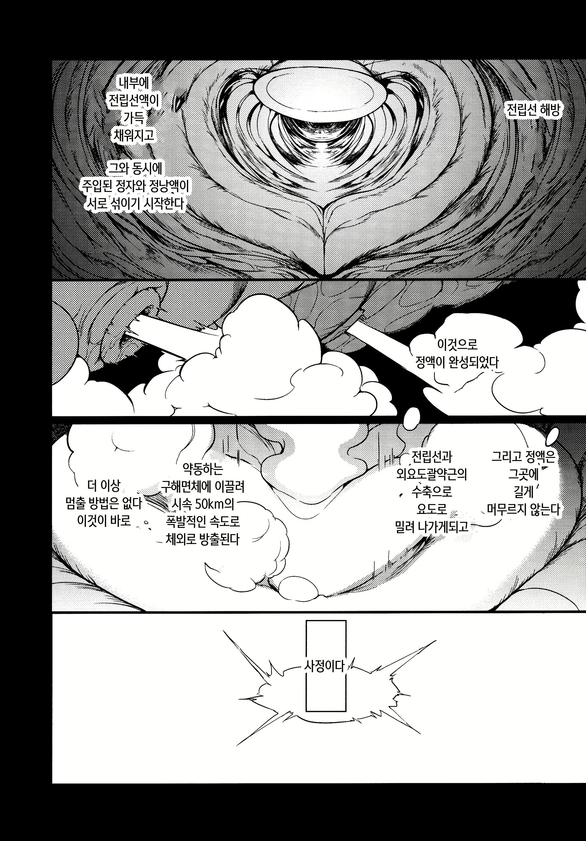Content 2032795 - 20 페이지