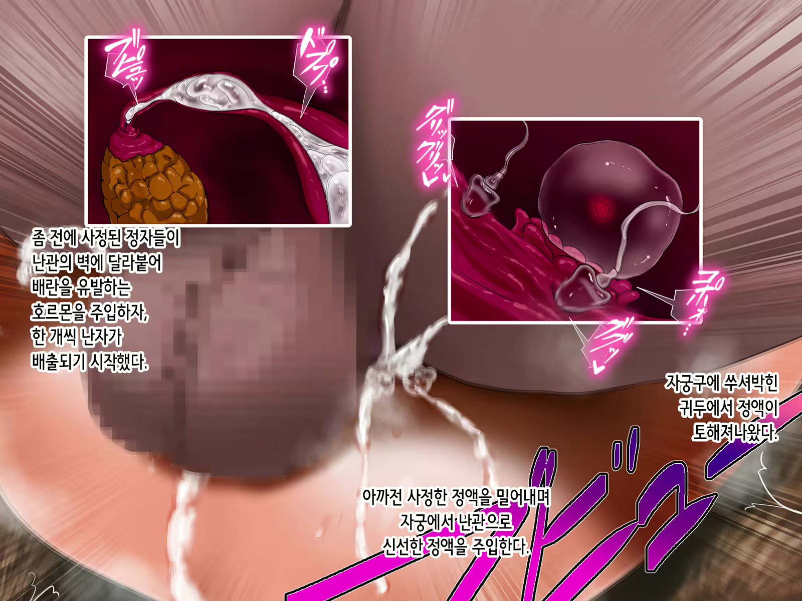 Content 2034195 - 141 페이지