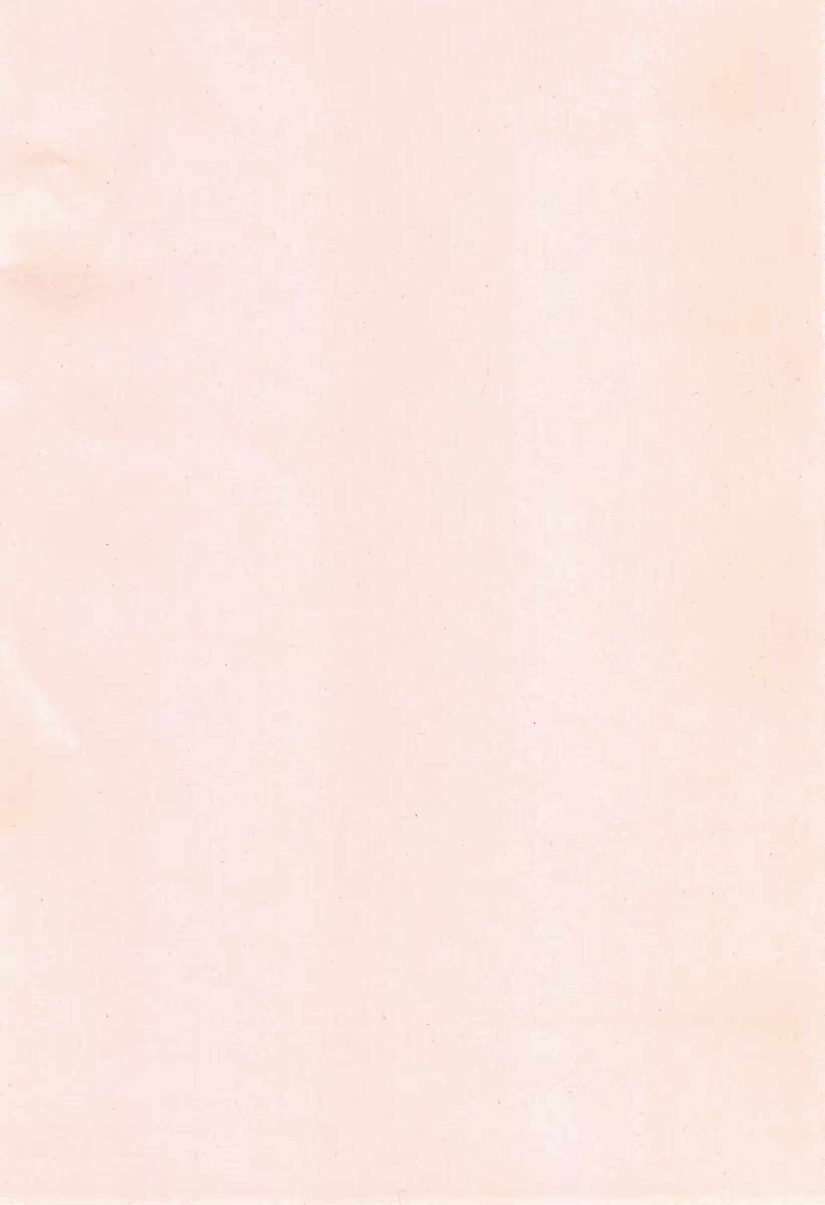 Content 2037112 - 216 페이지