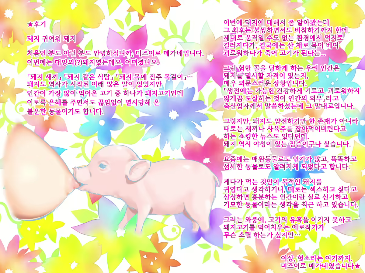 Content 2045433 - 31 페이지