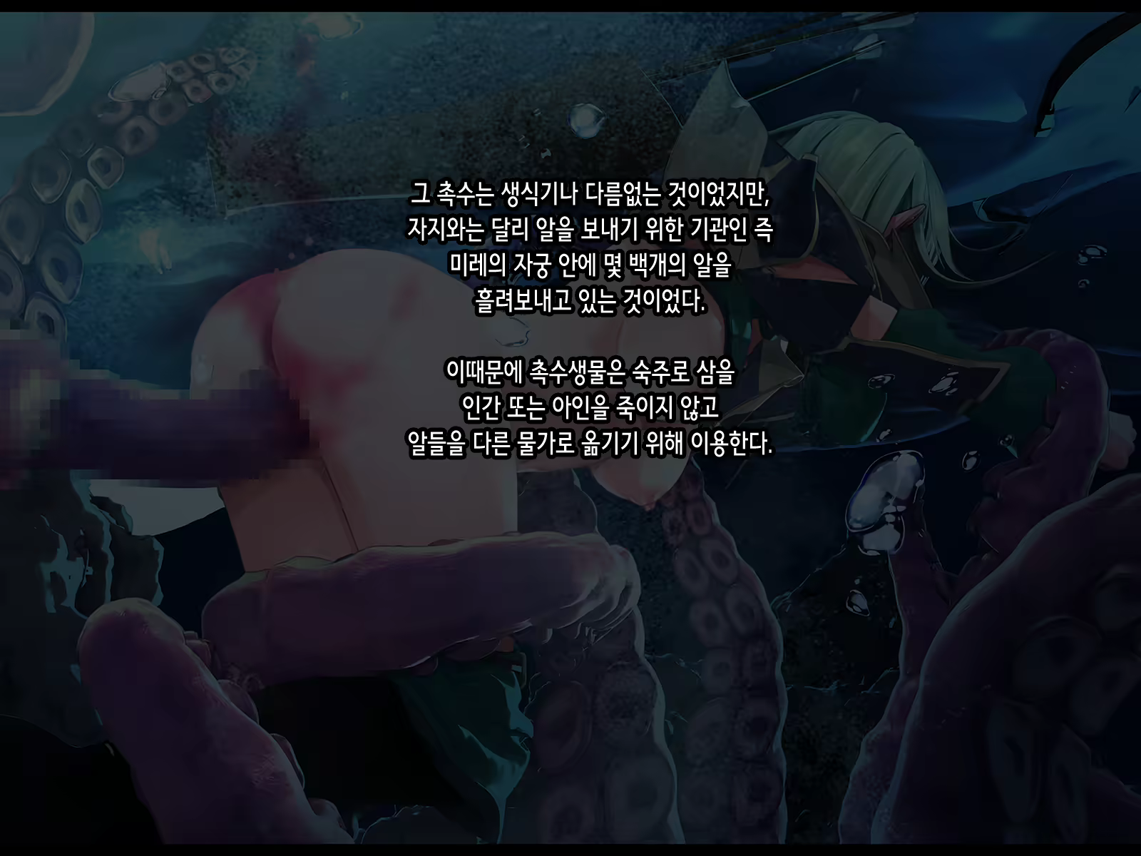 Content 2051330 - 74 페이지