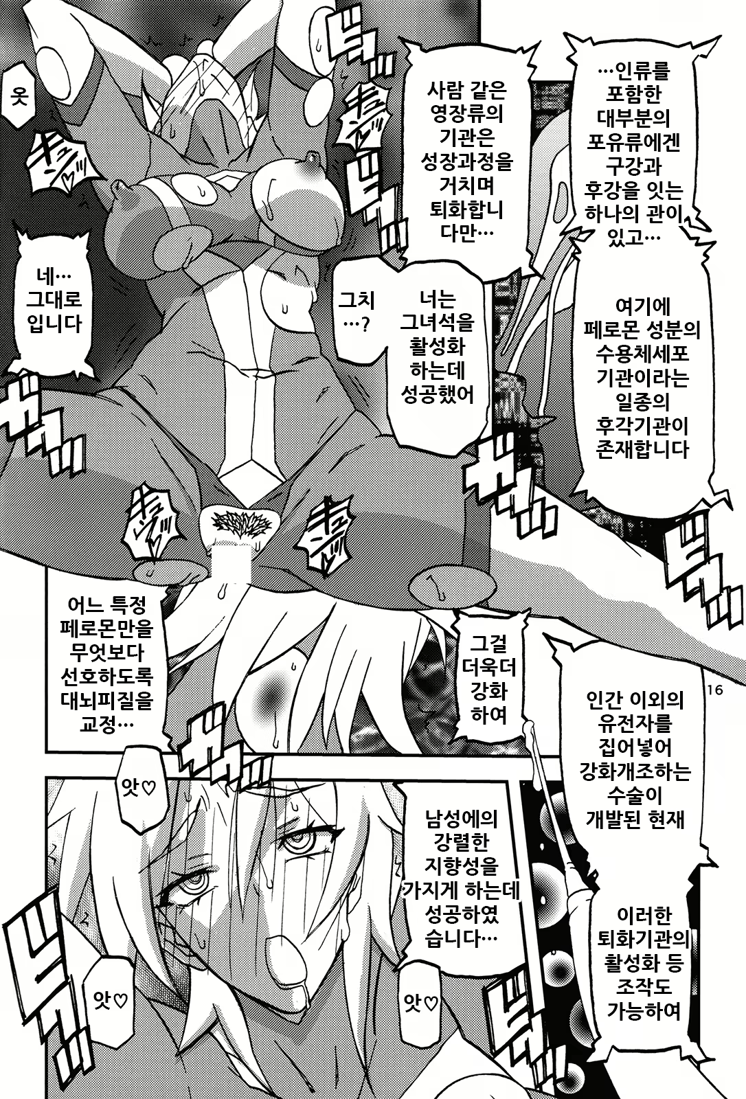 Content 2055031 - 17 페이지