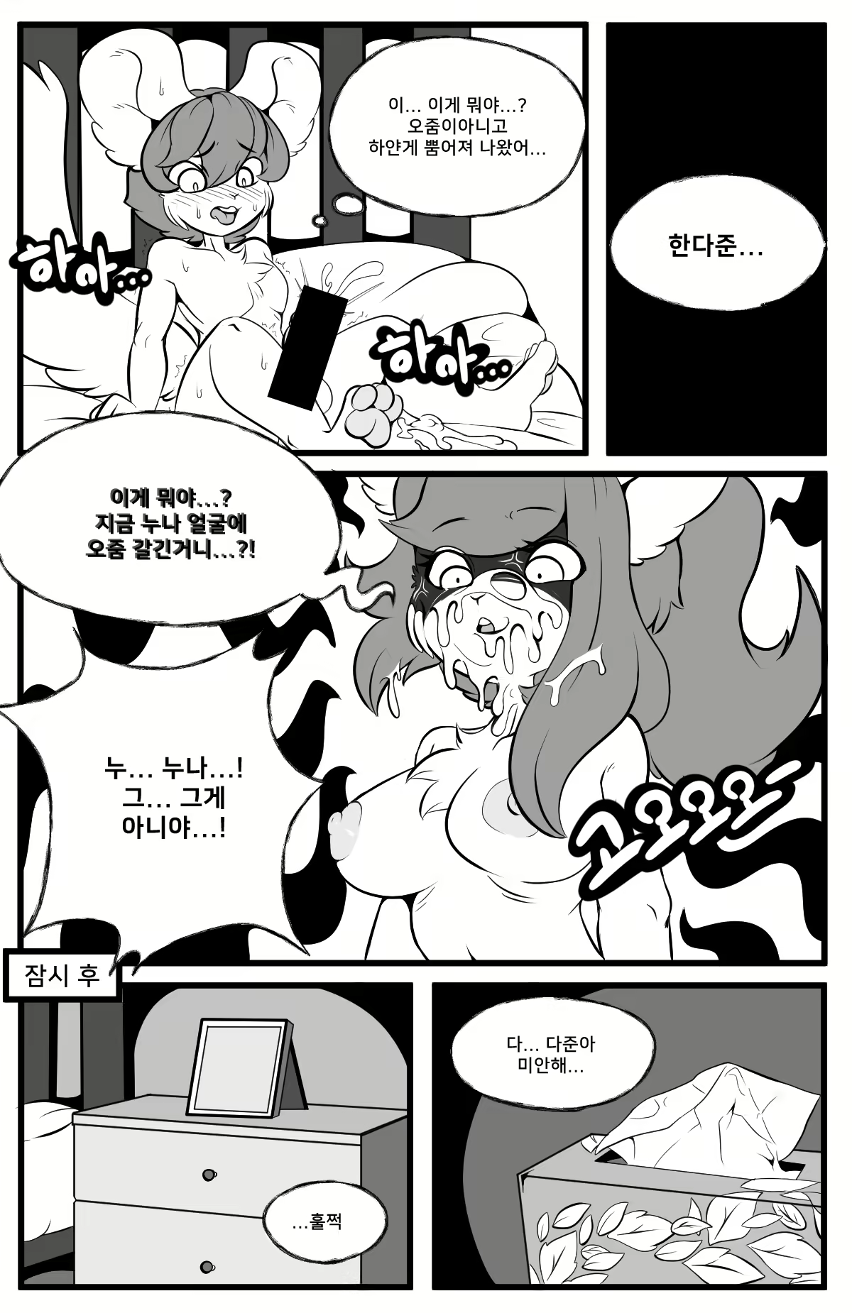 Content 2055288 - 15 페이지