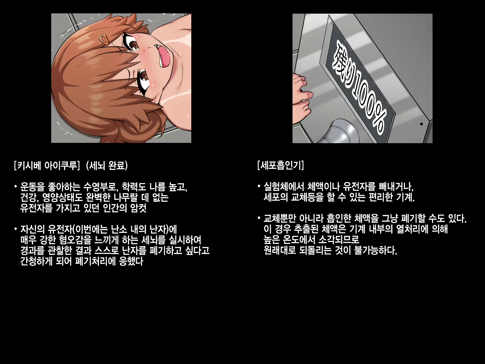 Content 2065306 - 14 페이지