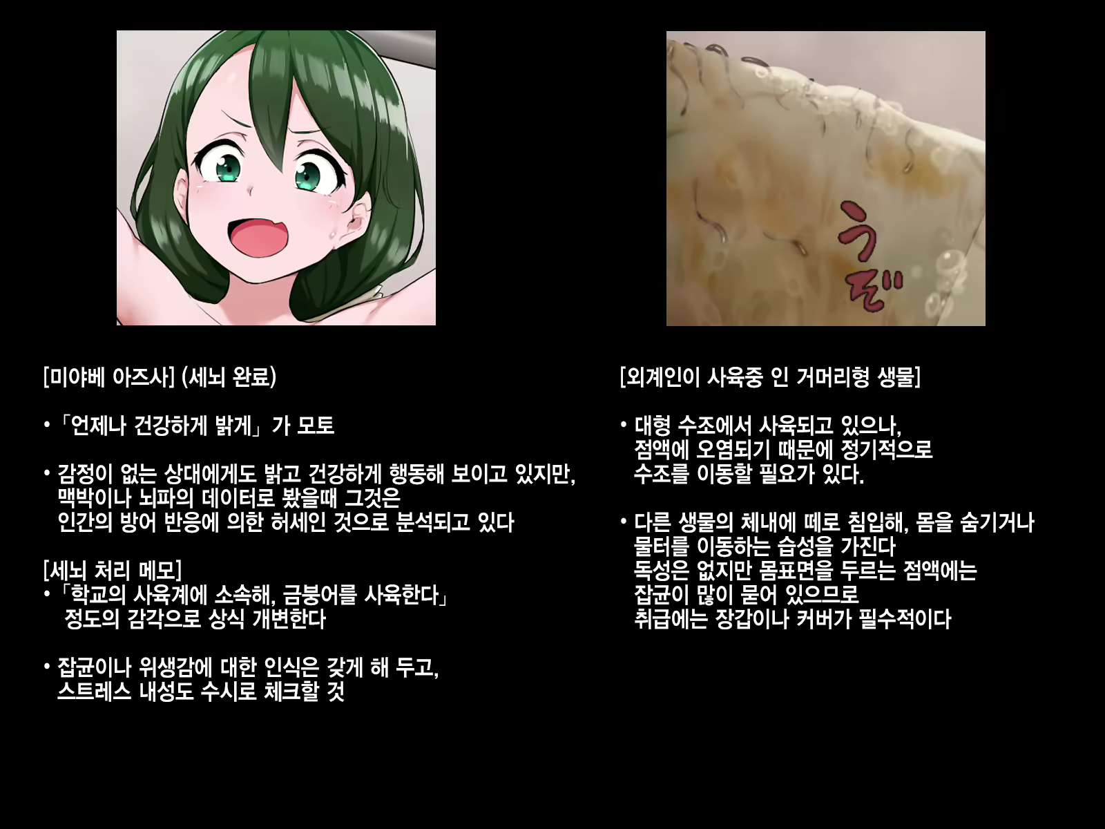 Content 2065306 - 34 페이지