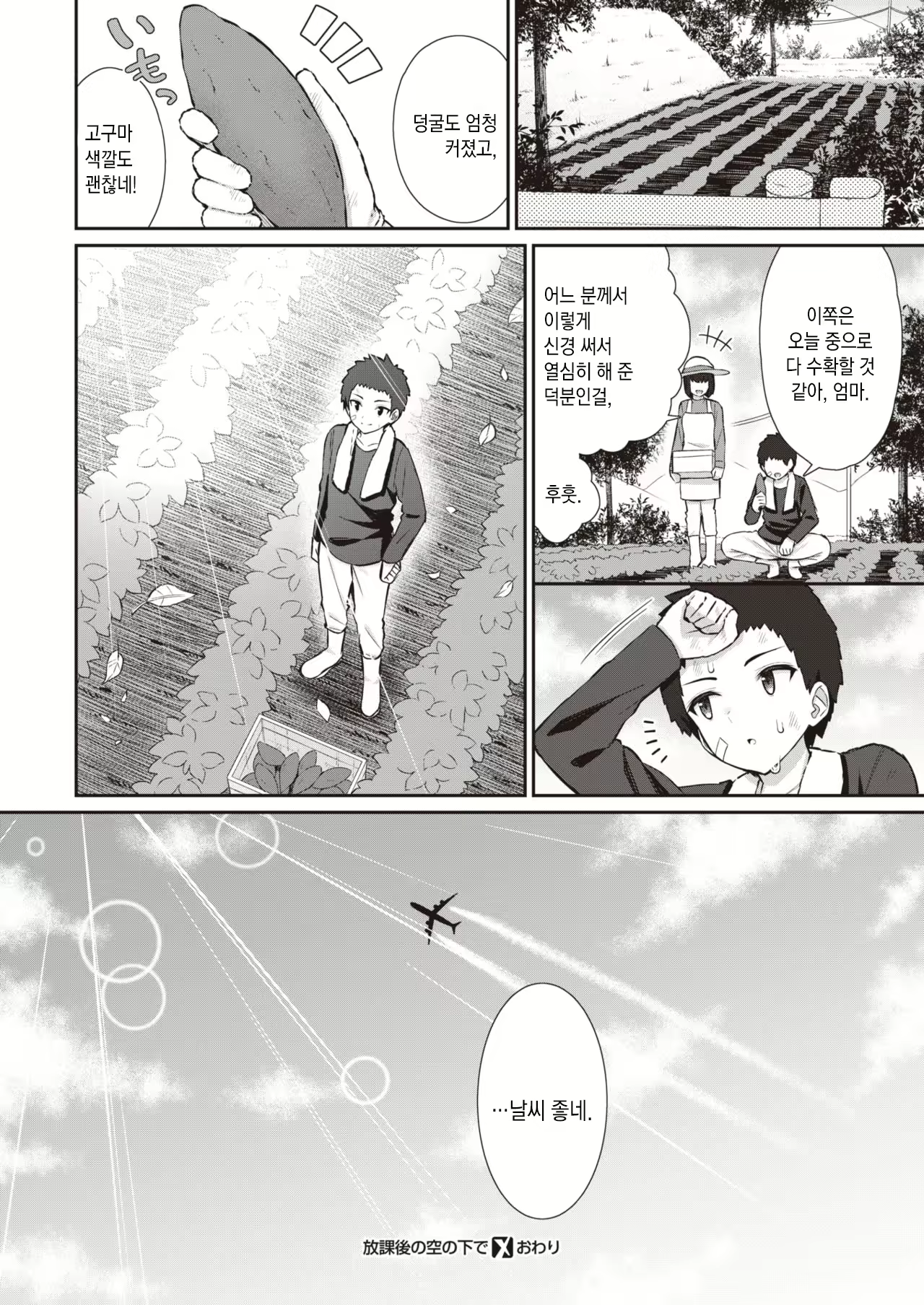Content 2066532 - 39 페이지