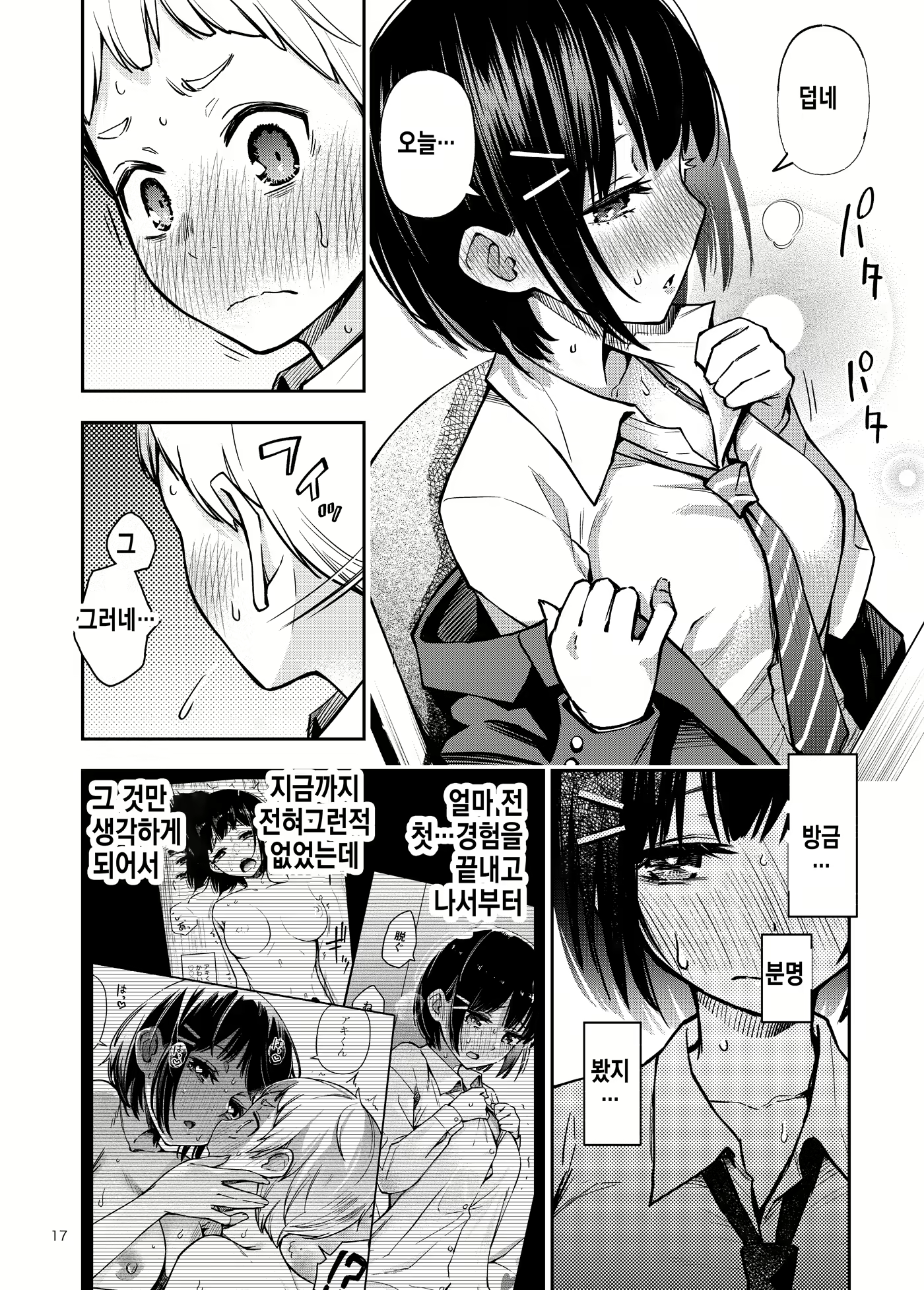 Content 2067039 - 17 페이지