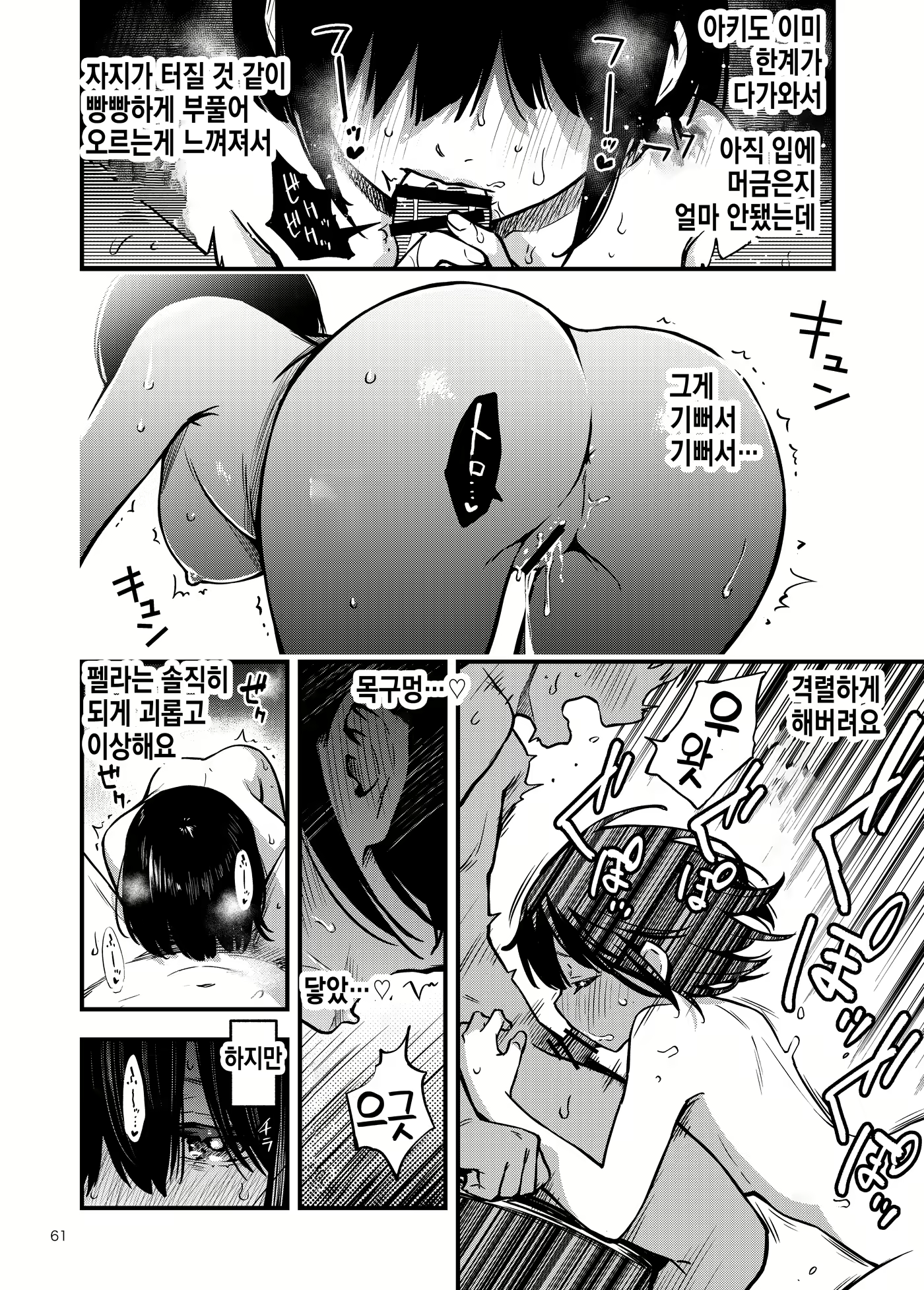 Content 2067039 - 61 페이지