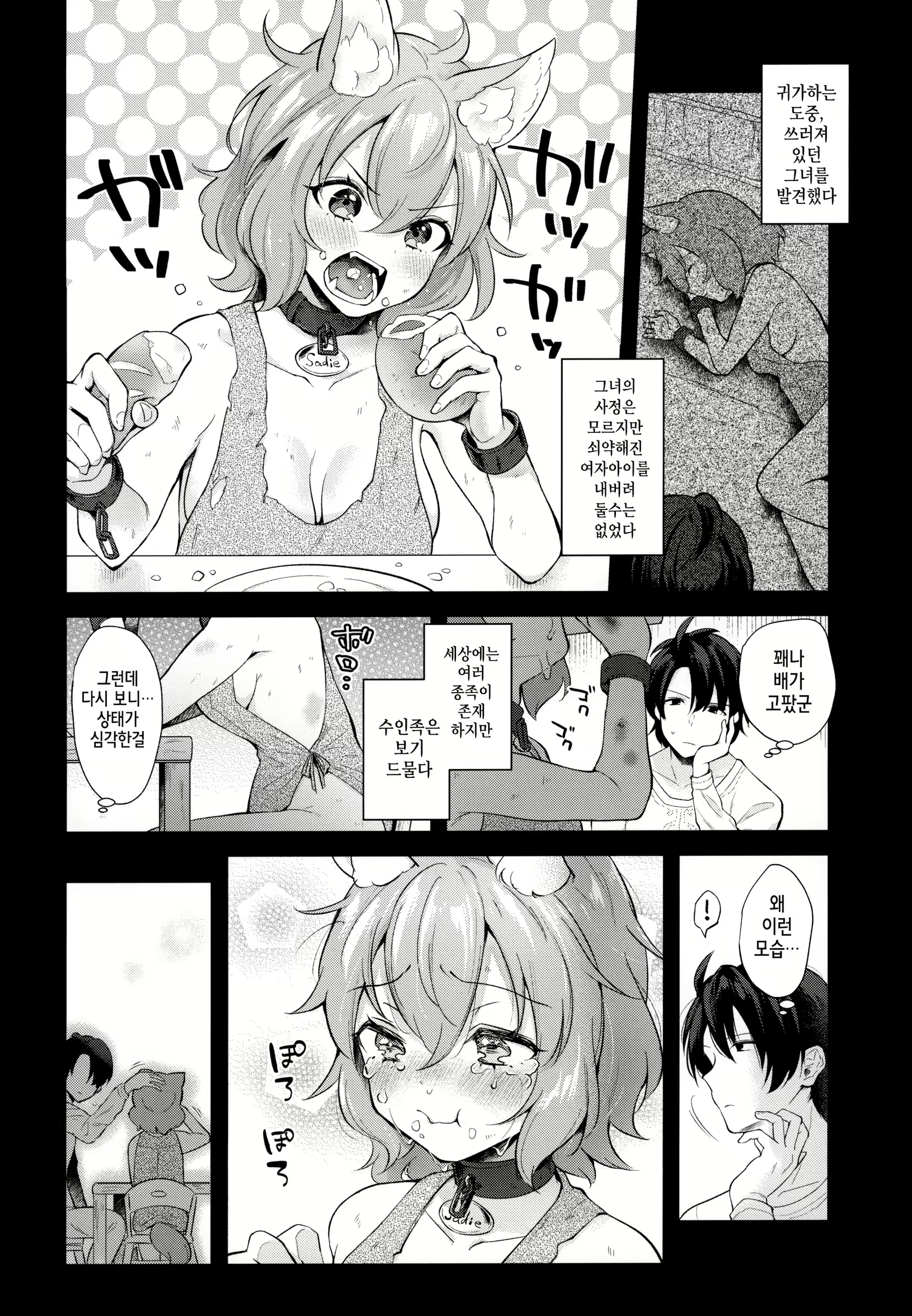 Content 2068799 - 2 페이지